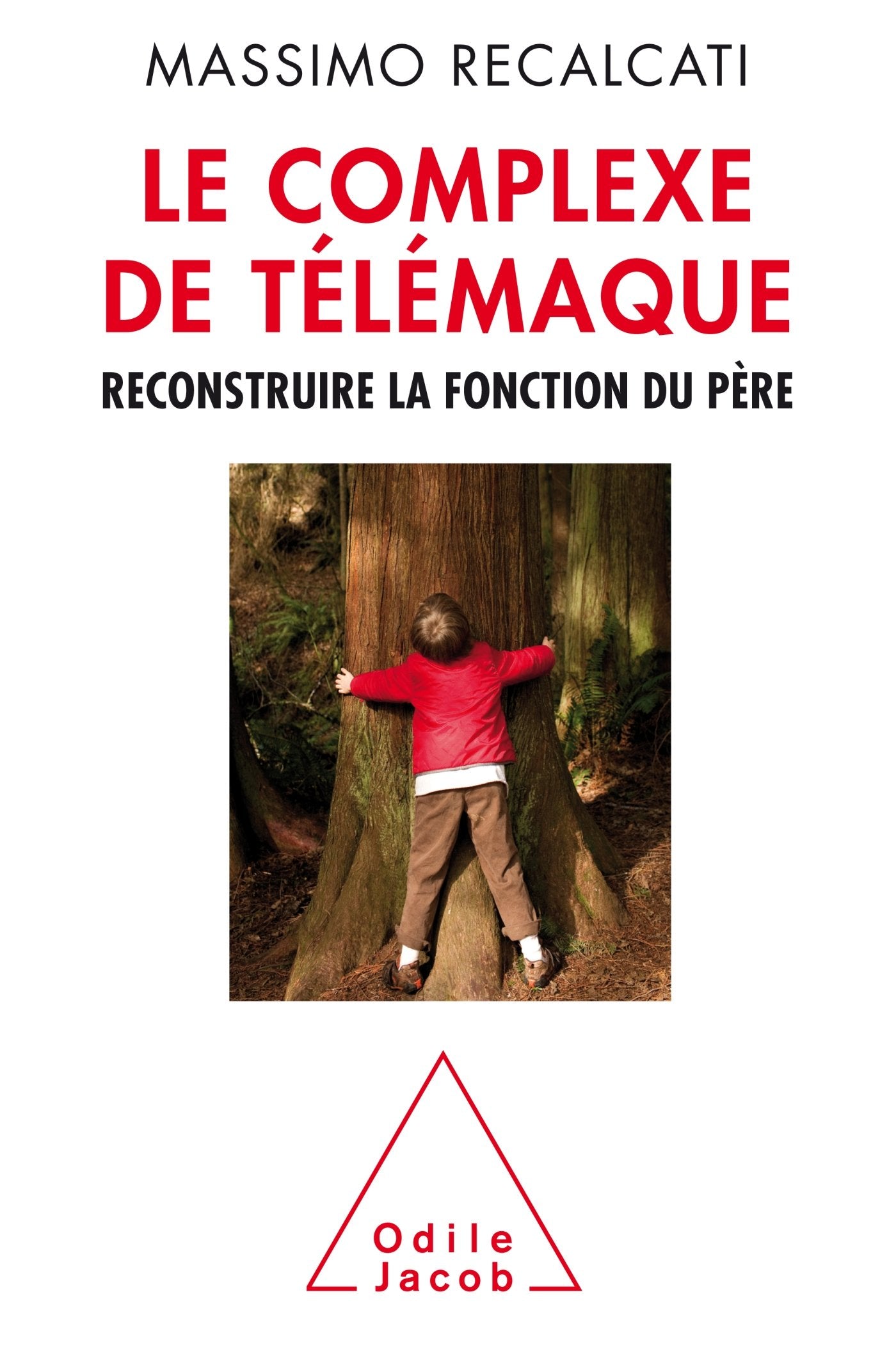 Le complexe de Télémaque 9782738132543