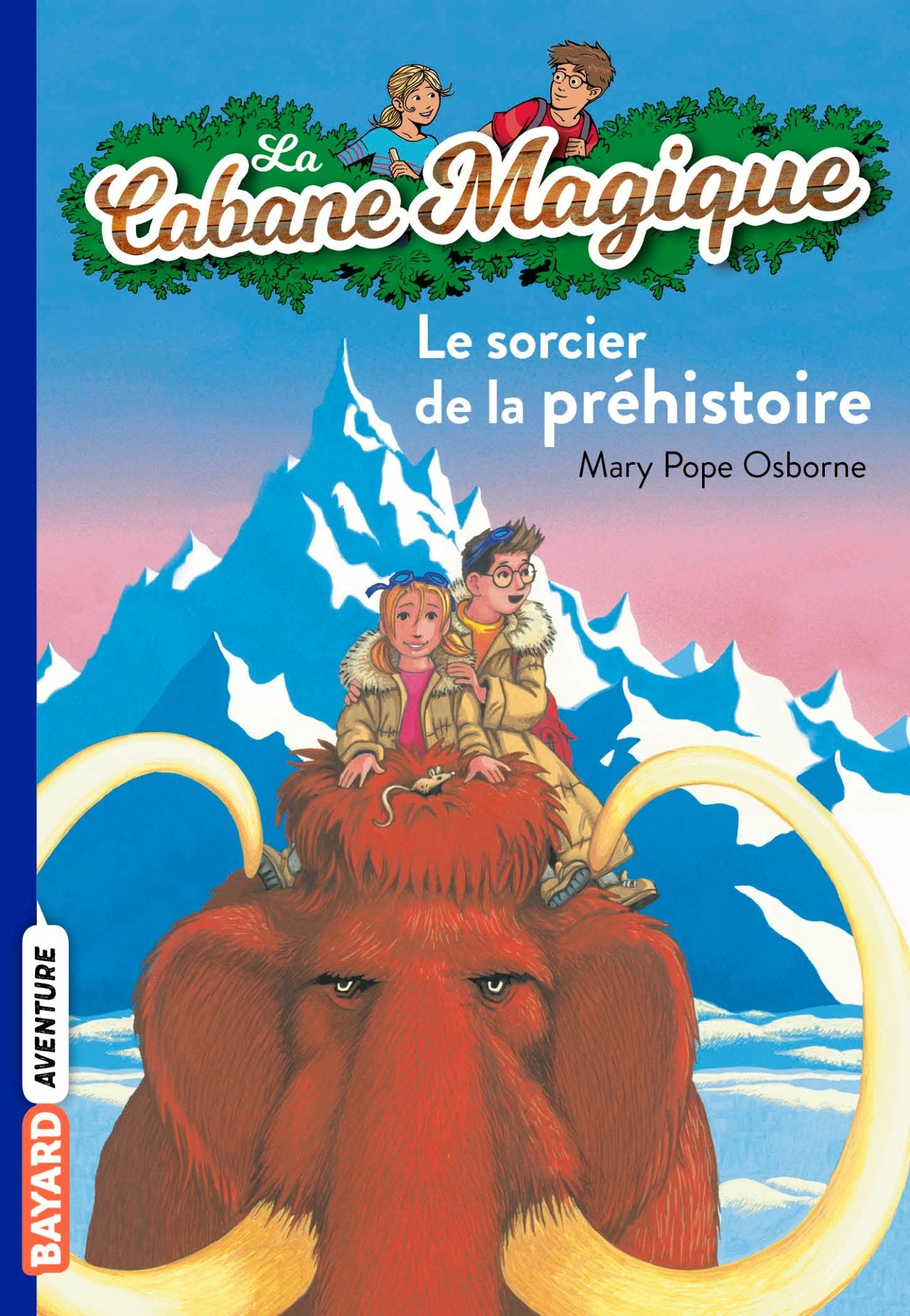 Le sorcier de la préhistoire (Modèle aléatoire) 9782747018395