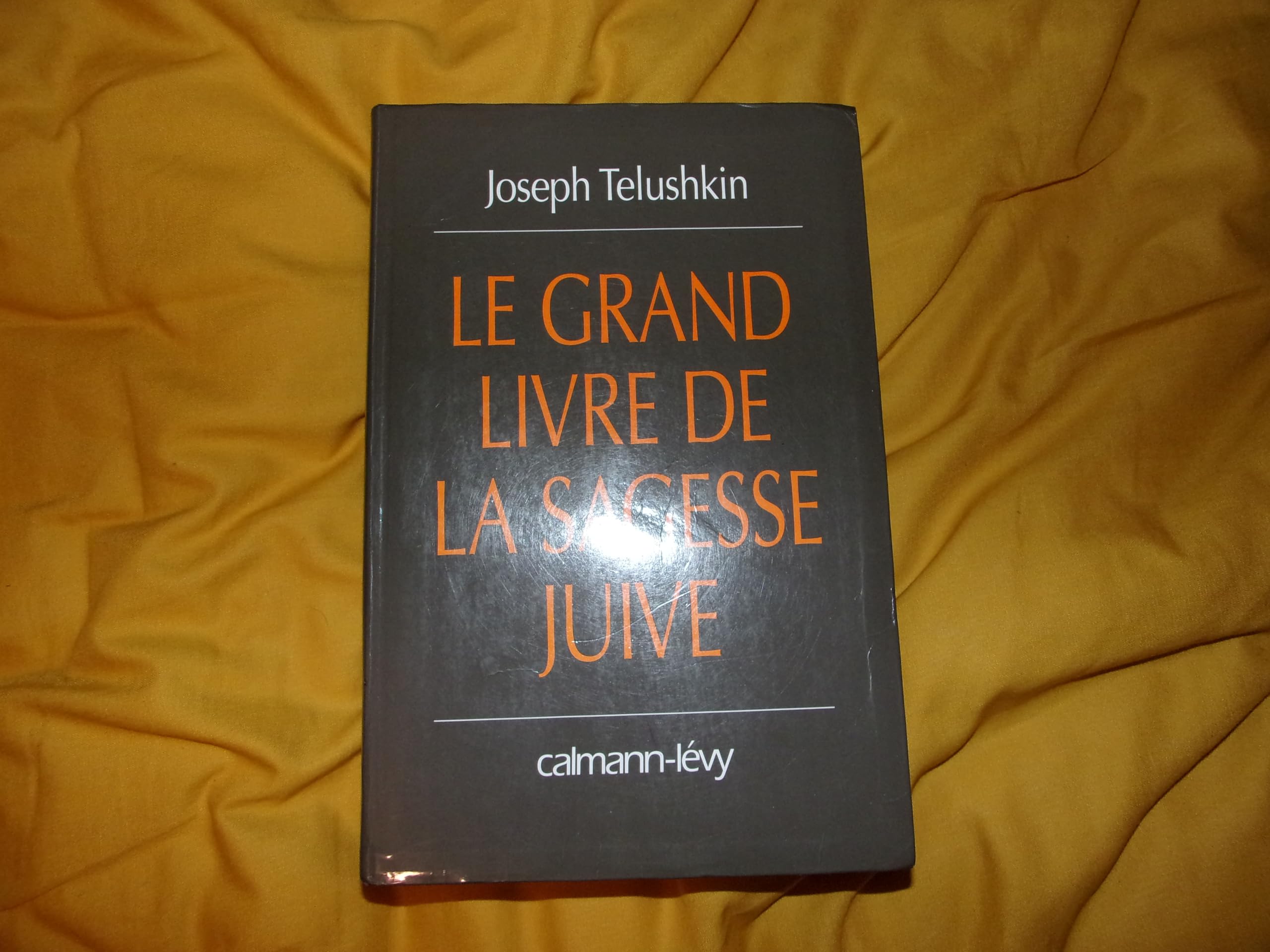 Le grand livre de la sagesse juive 9782702129777