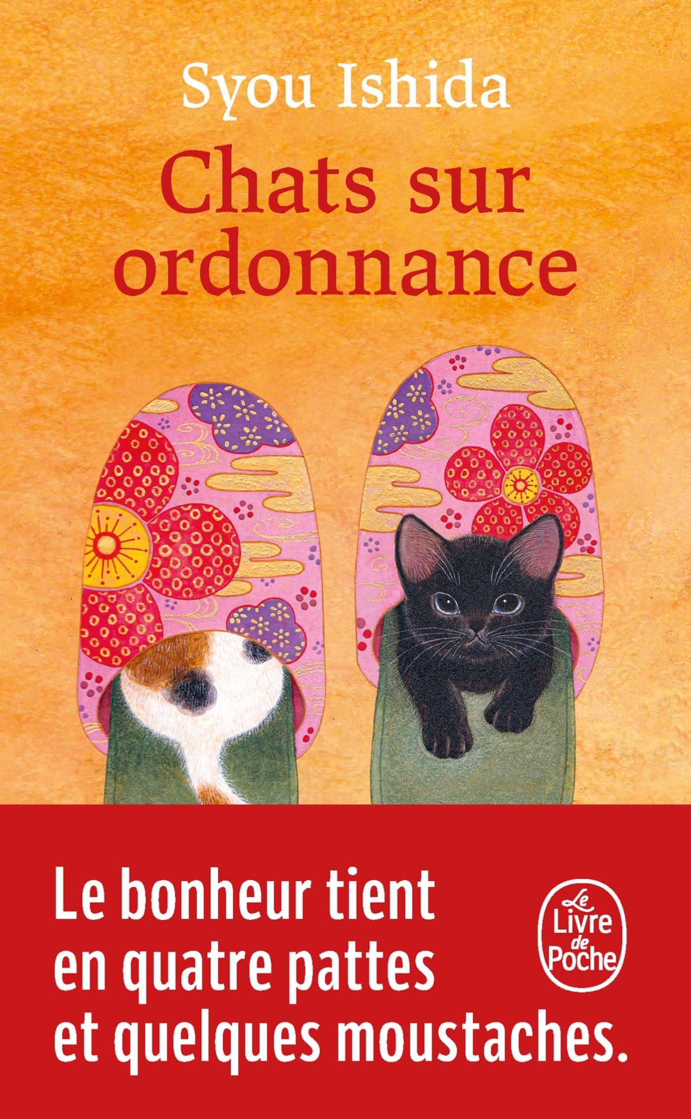 Chats sur ordonnance 9782253256328