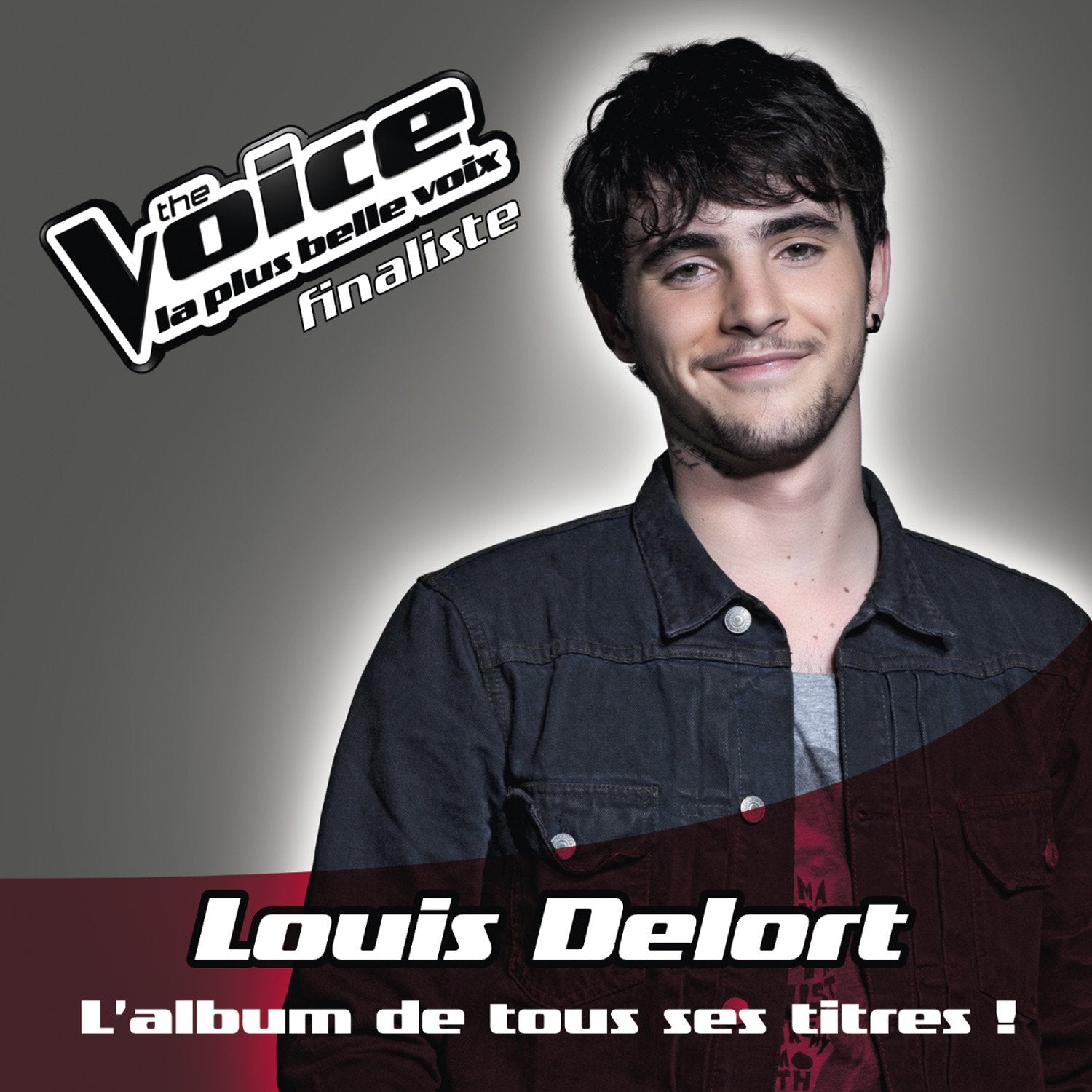Louis Delort : L'Album De Tous Ses Titres 0602537046256