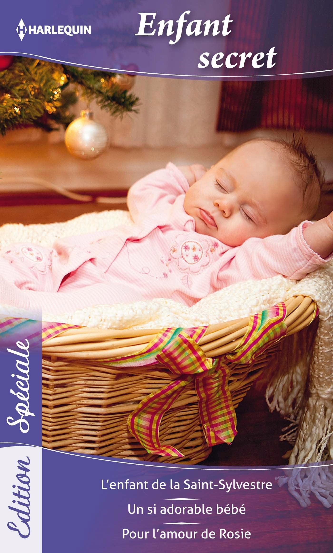 Enfant Secret 9782280247955