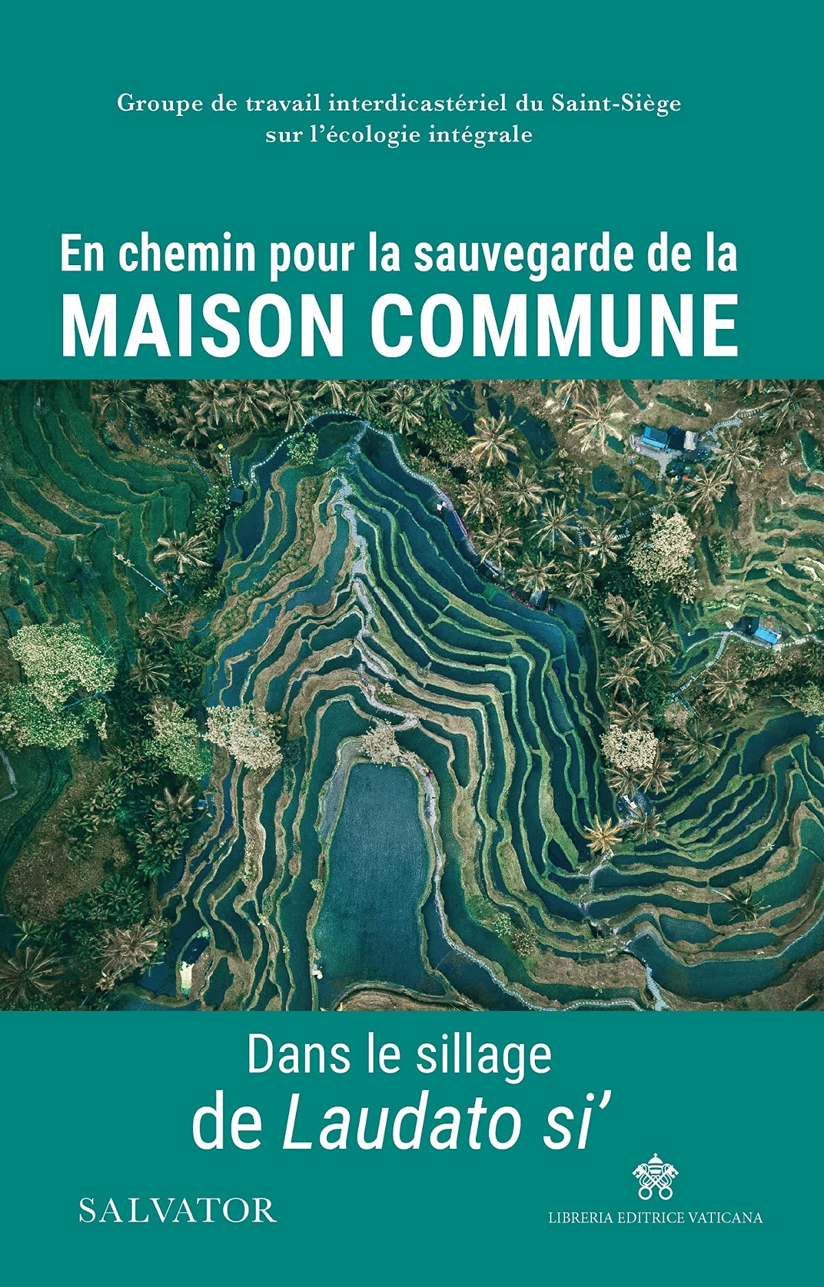 En chemin pour la sauvegarde de la Maison commune. Dans le sillage de Laudato si' 9782706721892