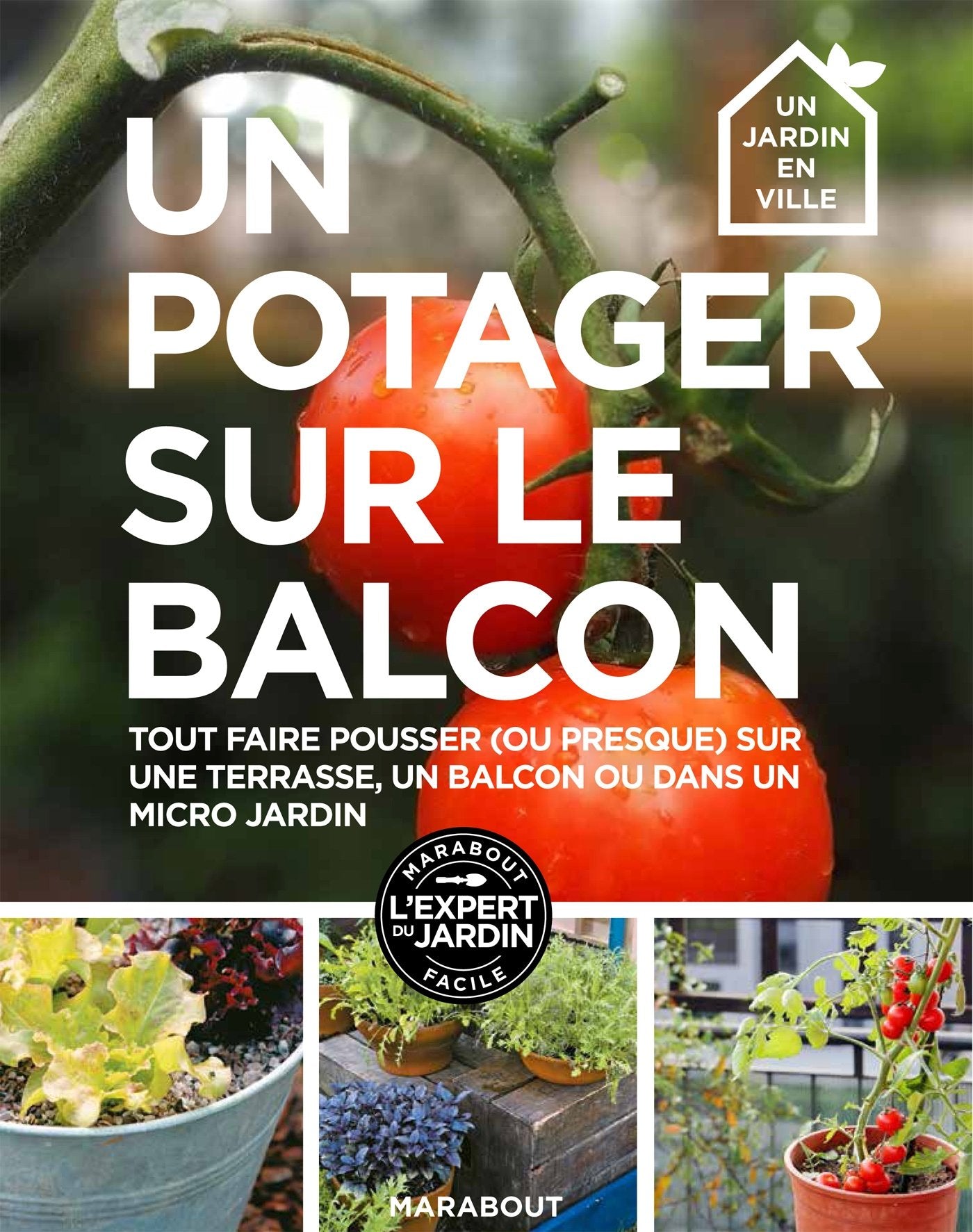 Un potager sur le balcon 9782501121309