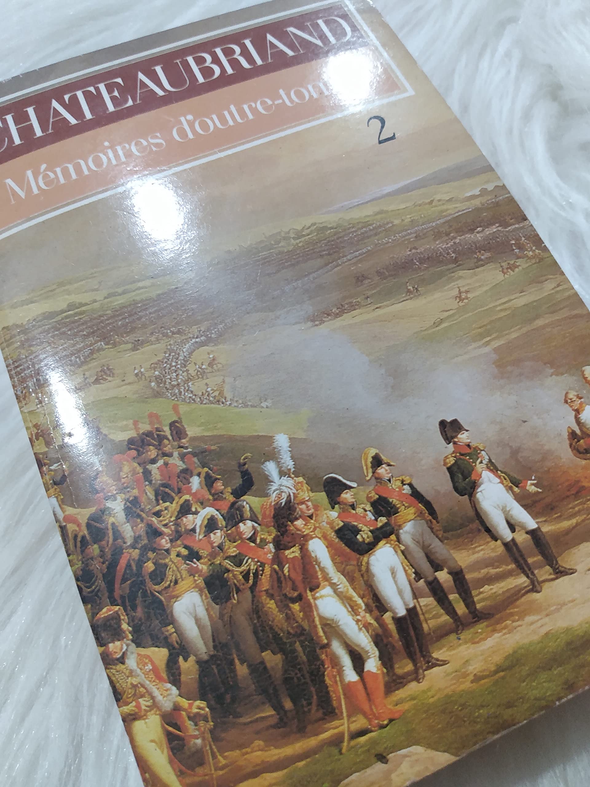 Mémoires d'outre-tombe, tome 2 9782253016748