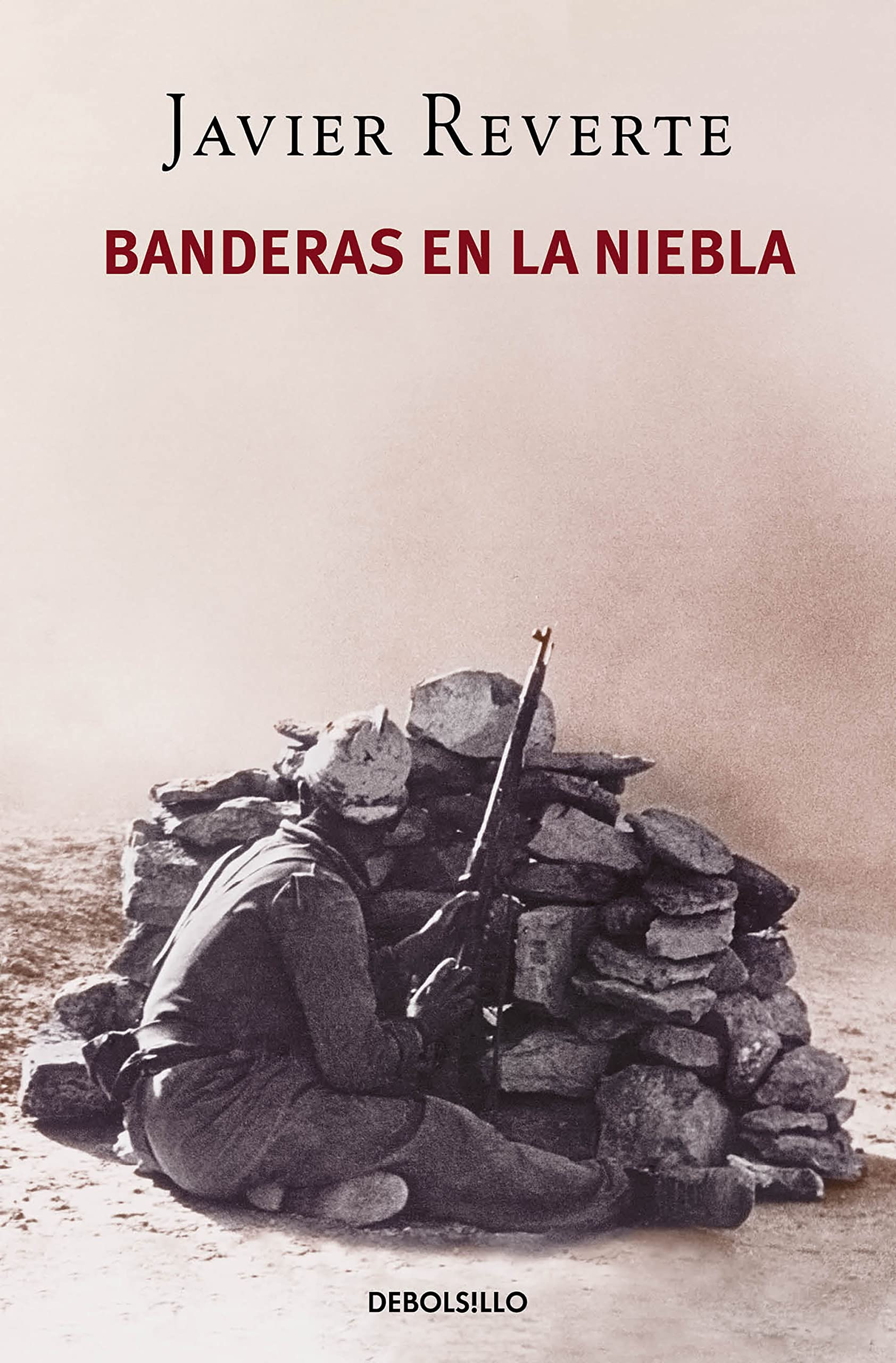 Banderas en la niebla 9788466343848