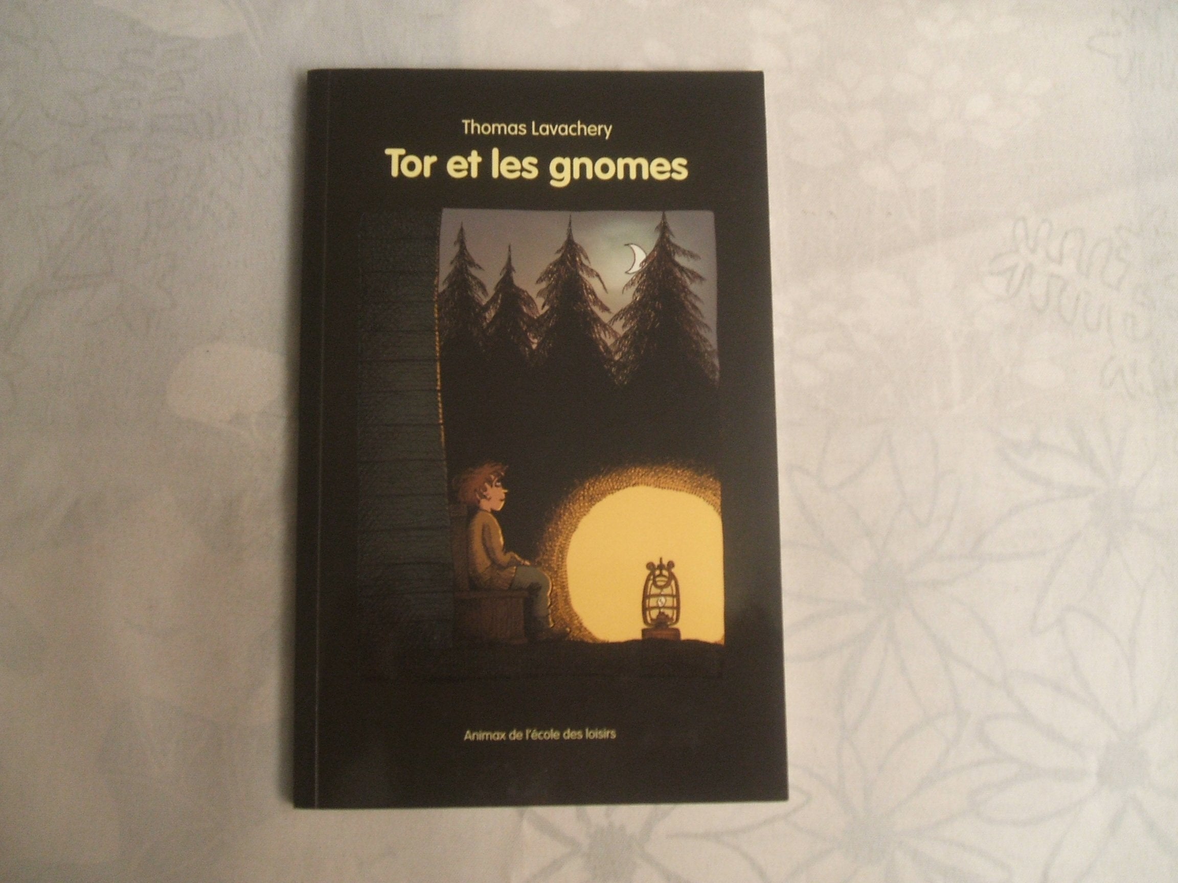 tor et les gnomes 9782211221221