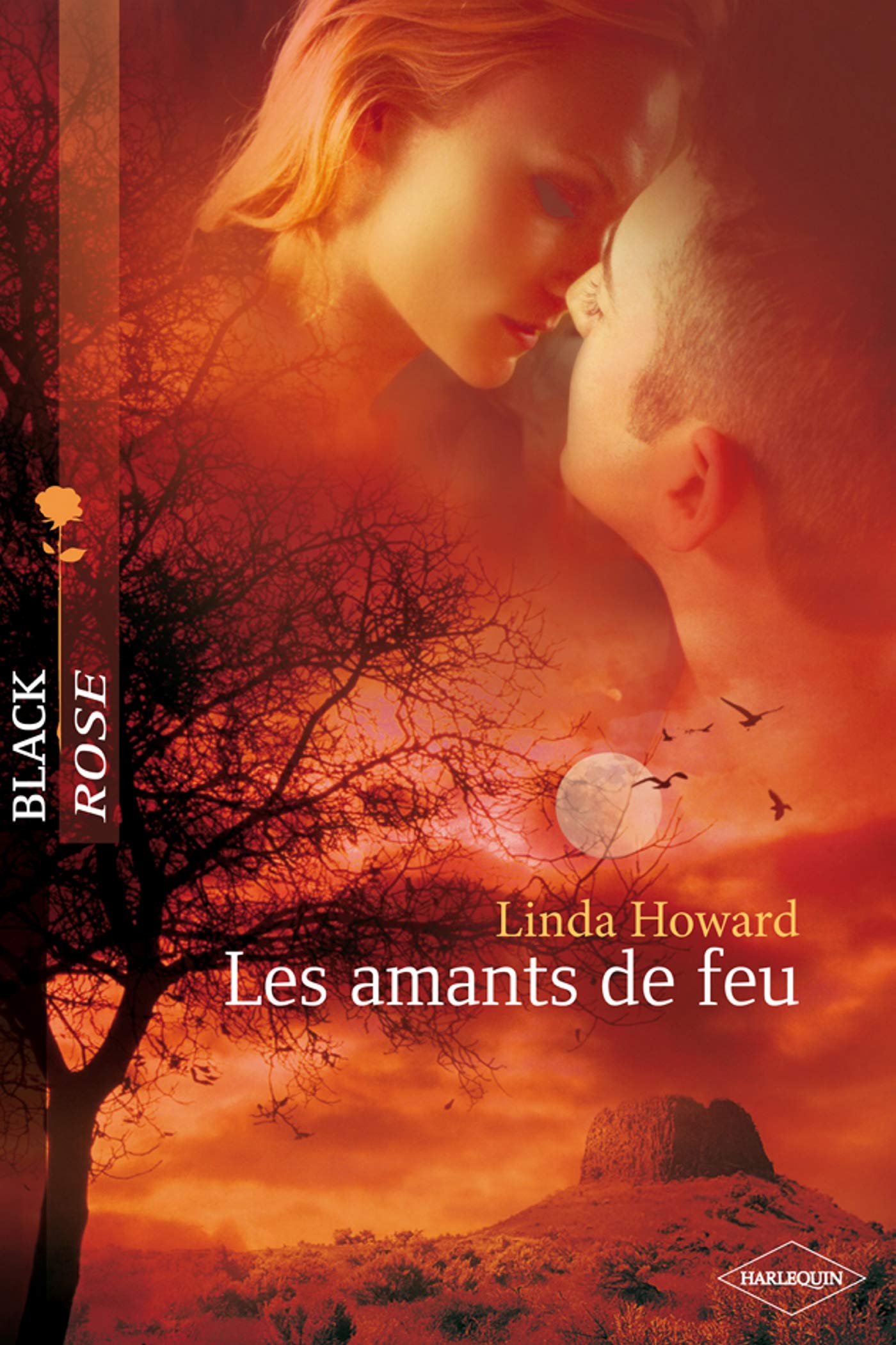 Les amants de feu 9782280846103