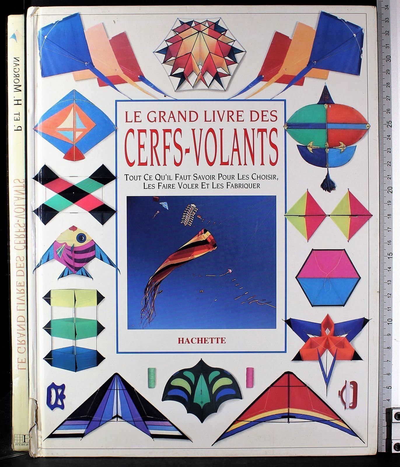 Le grand livre des cerfs-volants 9782010204319