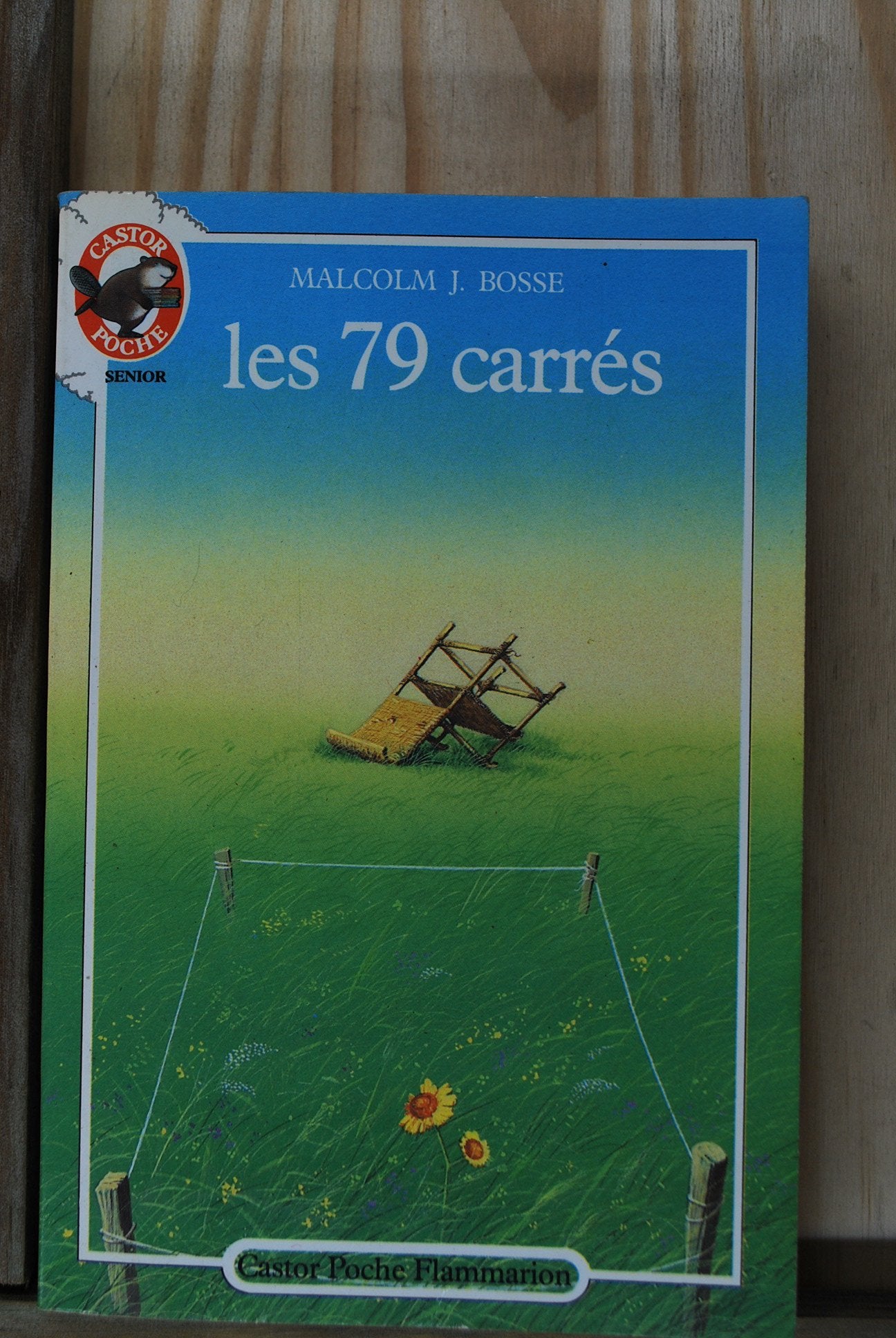 79 carres (Les): ****** SENIOR 9782081618435