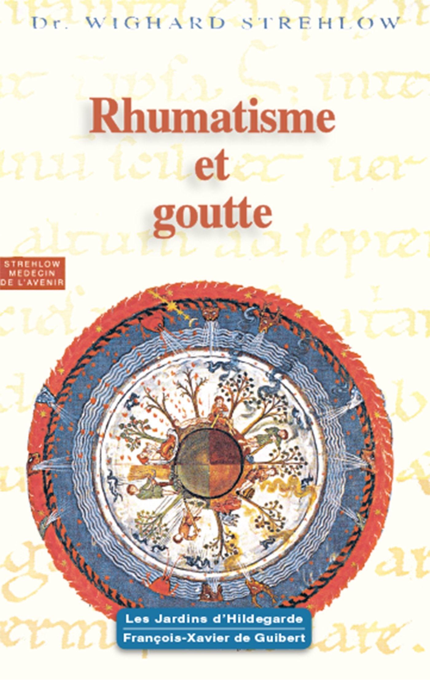 Rhumatisme et goutte: Hildegarde de Bingen. Le programme de santé 9782755400571