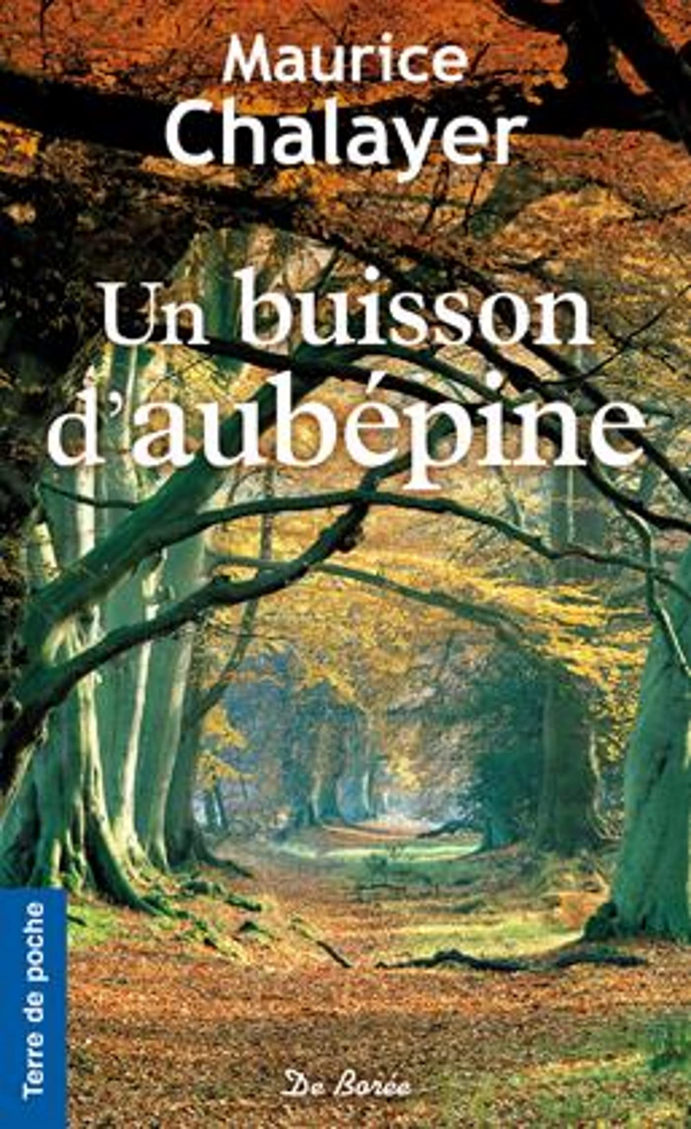 Un buisson d'aubépine 9782812905483