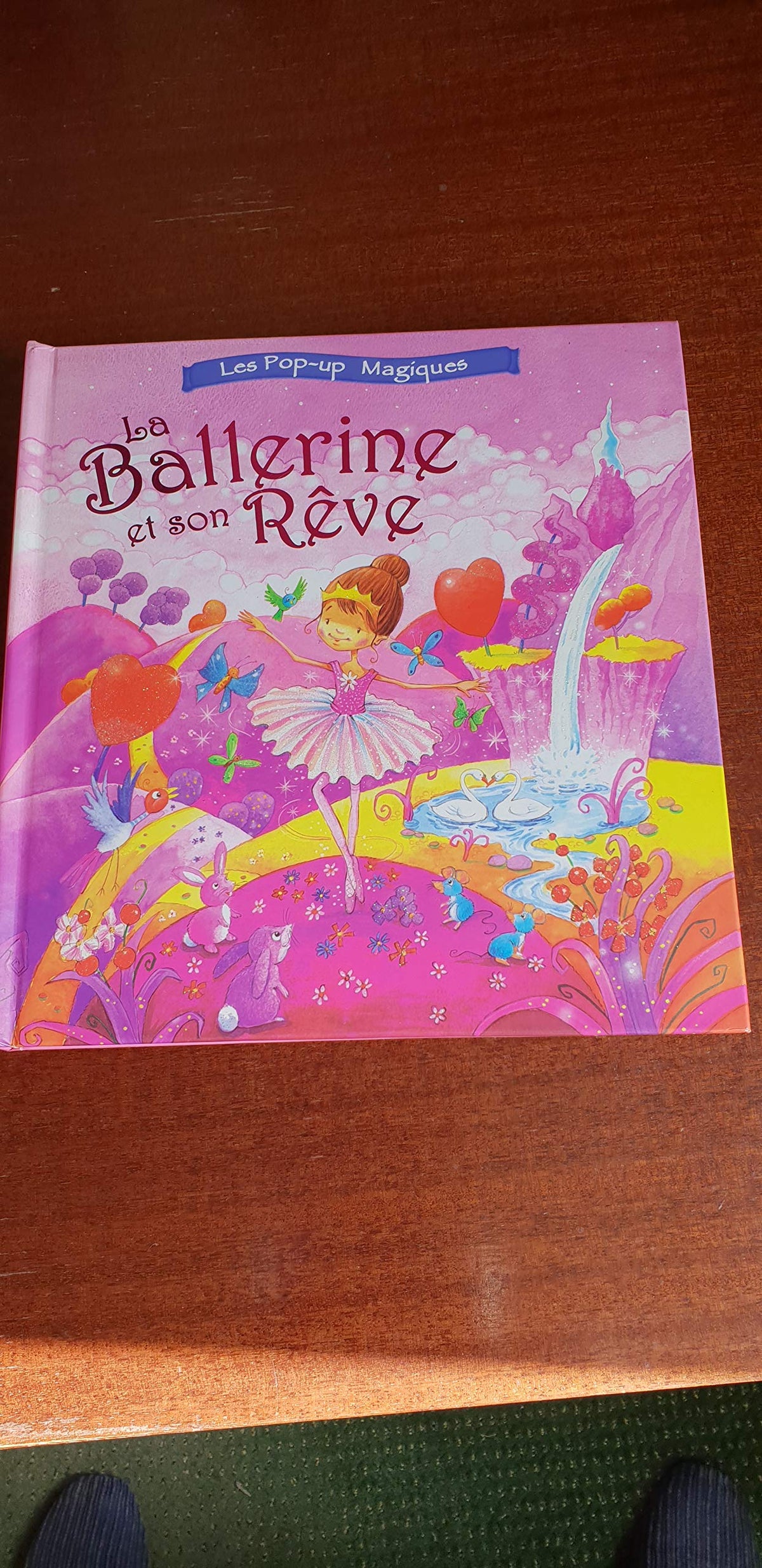La Ballerine et son Rêve 9782753203990
