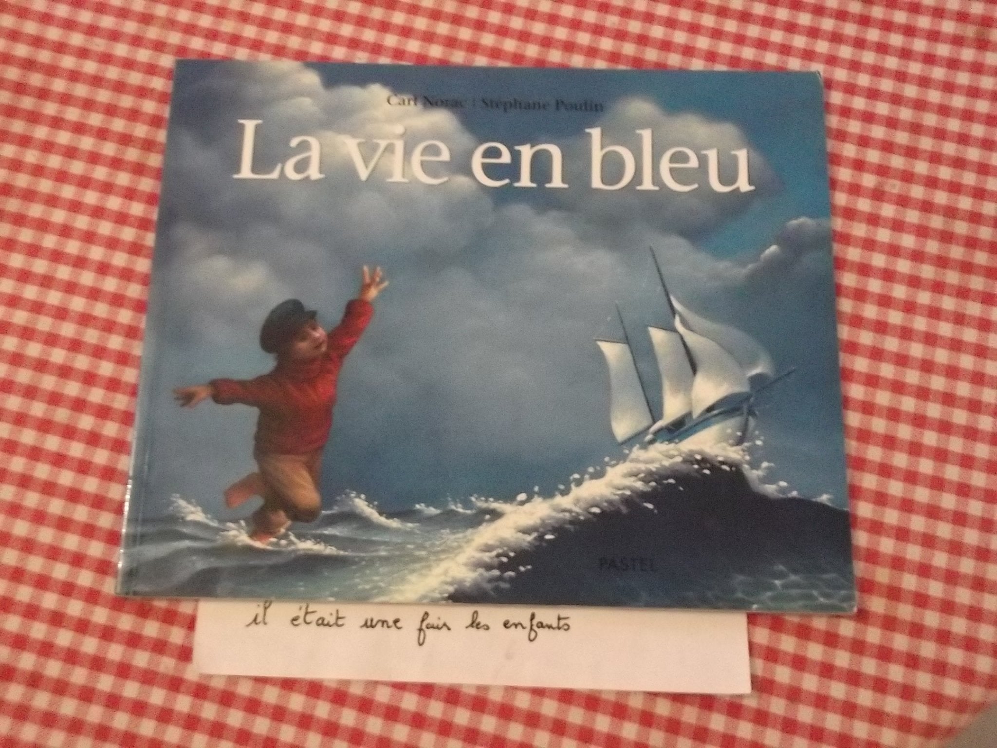 La vie en bleu 9782211088879