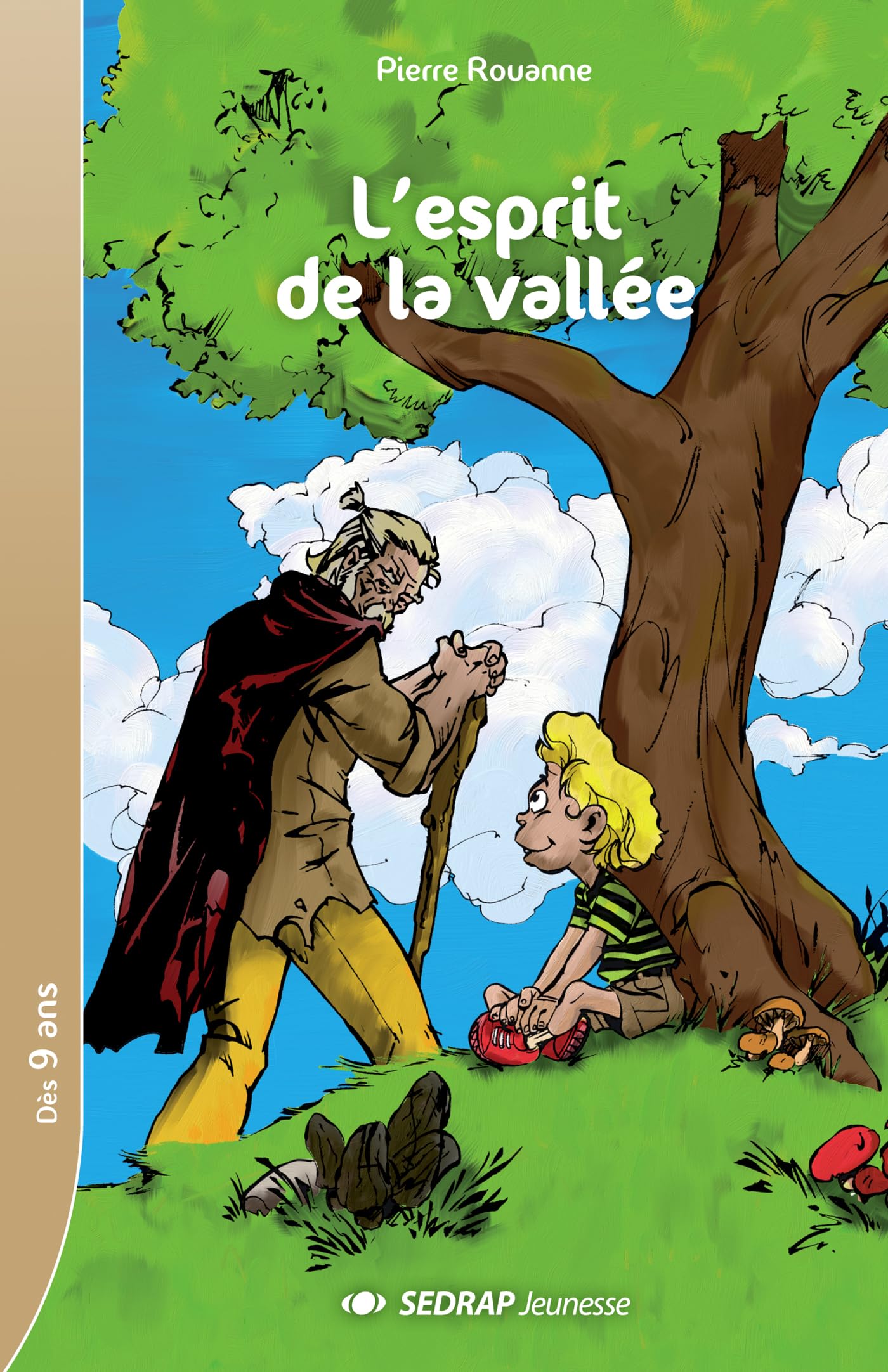 L'esprit de la valle CM1/CM2 (Le roman ) 9782841173044