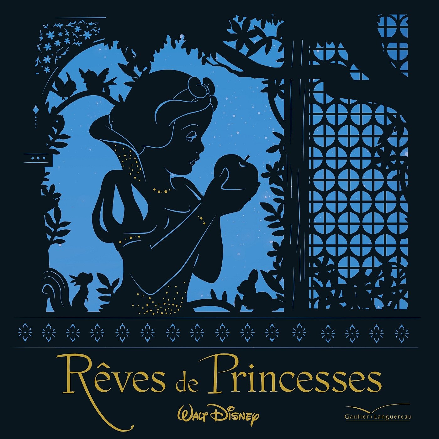 Rêves de Princesses 9782012202856