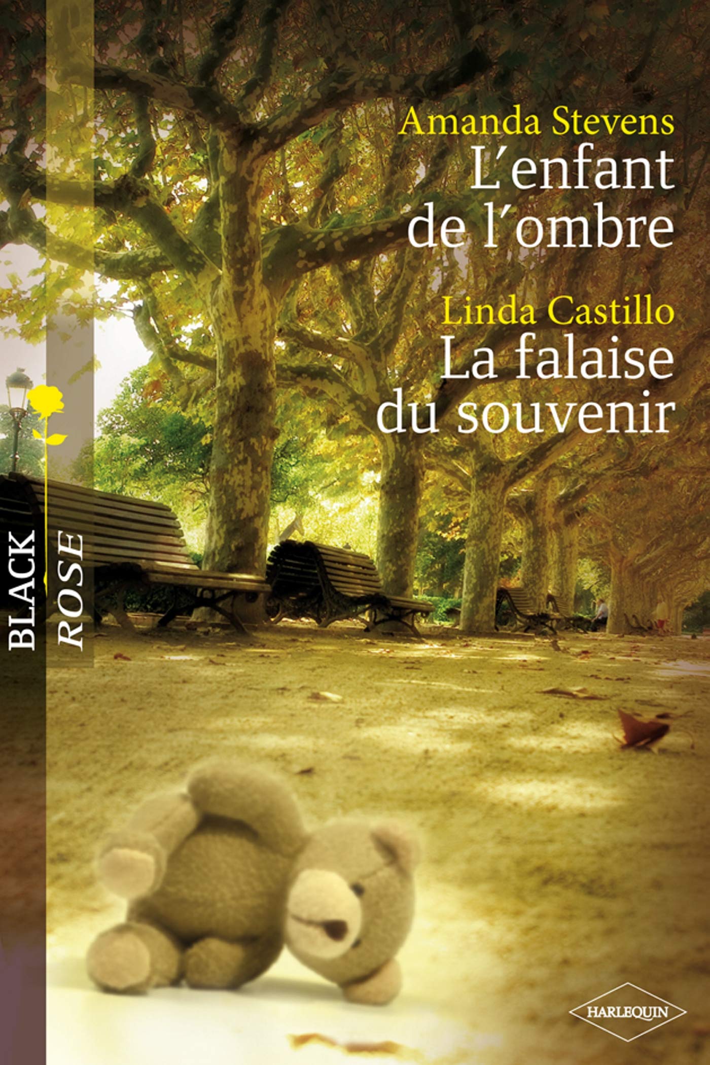 L'enfant de l'ombre ; La falaise du souvenir 9782280843867