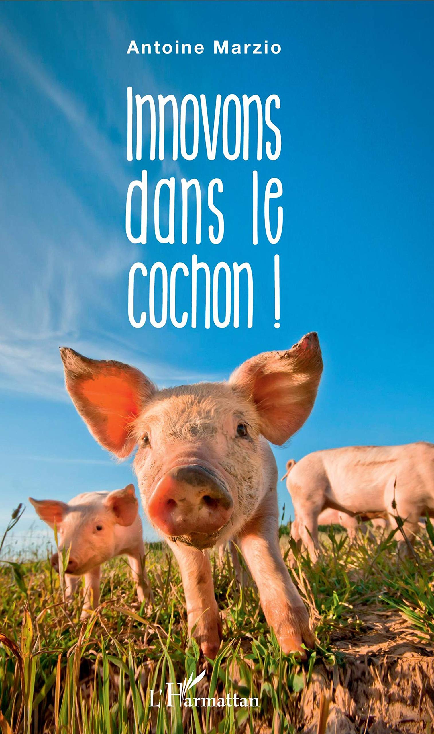 Innovons dans le cochon ! 9782343142562