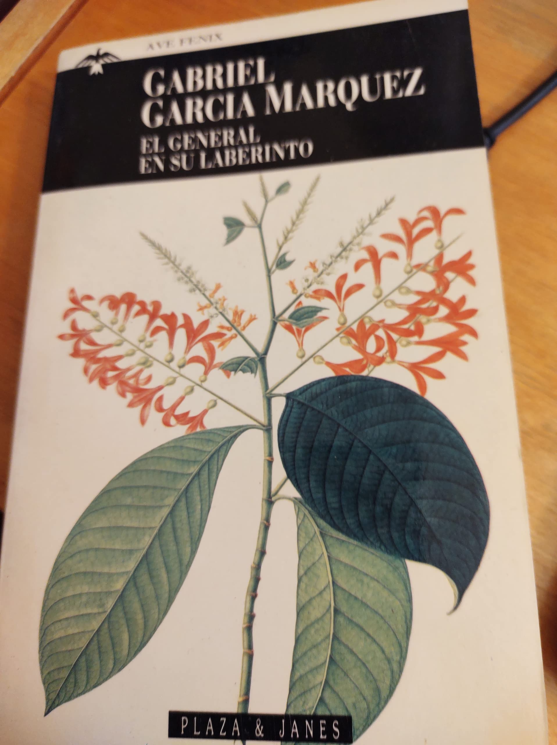 General en su laberinto 9788401427534