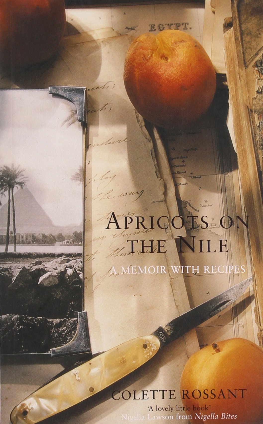Apricots on the Nile: A Memoir with Recipes 9780747558163