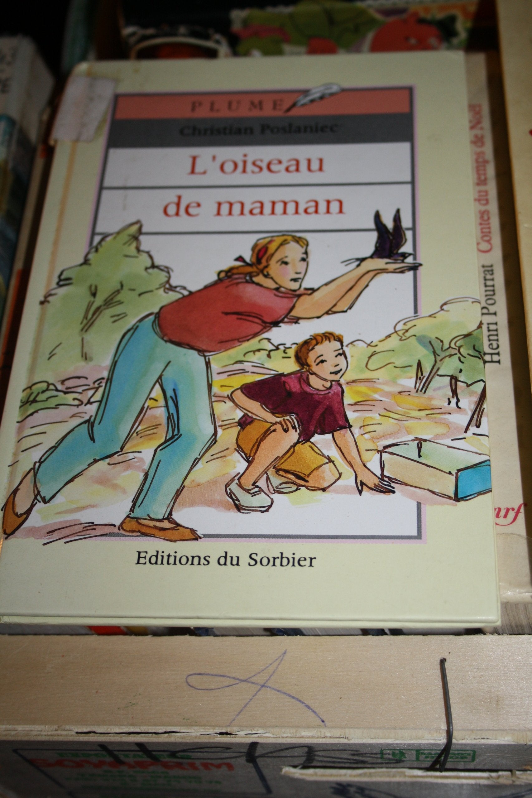 L'oiseau de maman 9782732033068