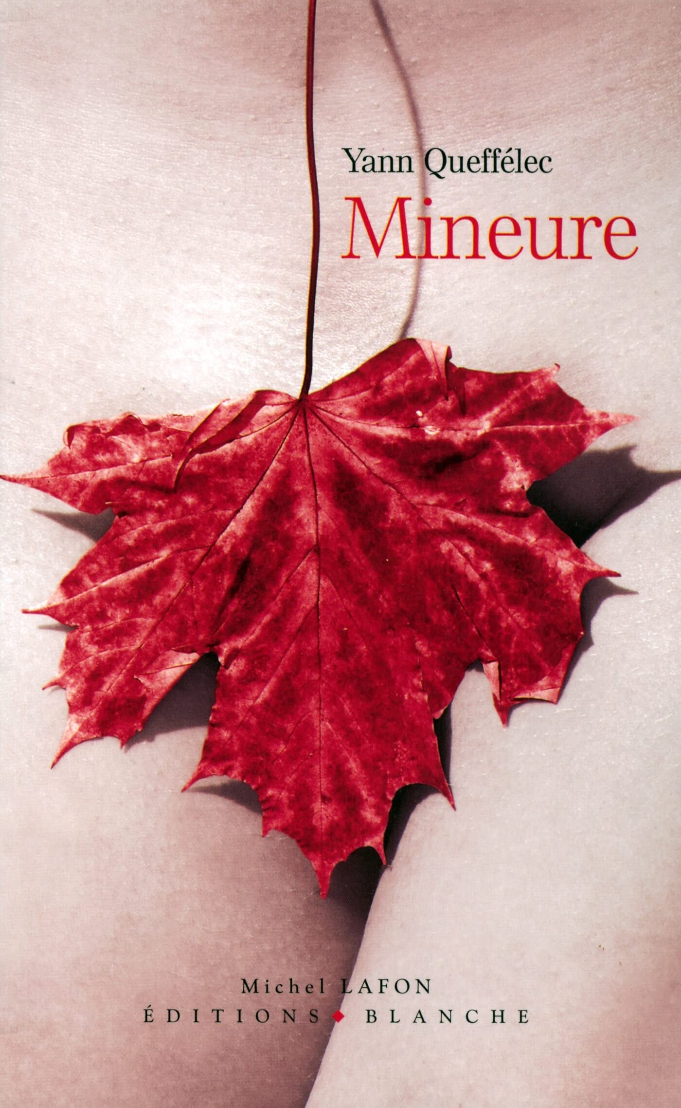 Mineure 9782846281379