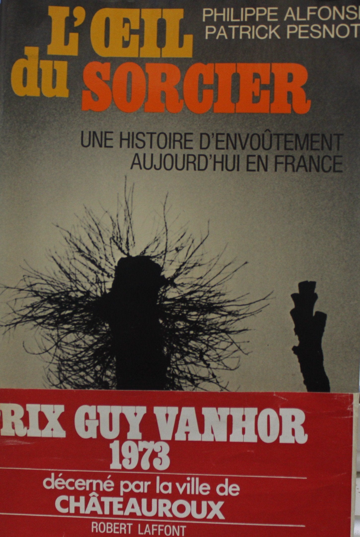 L'Oeil du sorcier 9782221013427