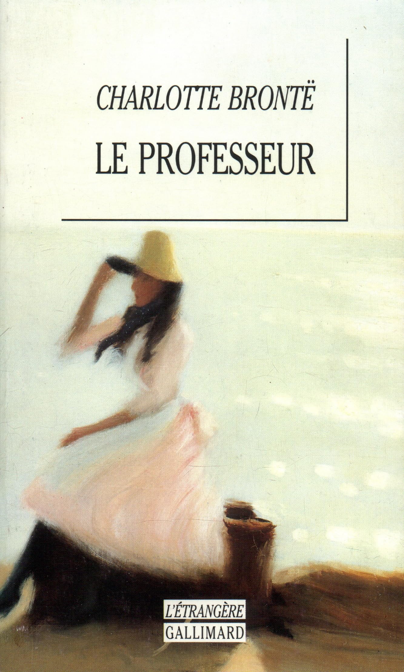 Le professeur roman 9782070747801