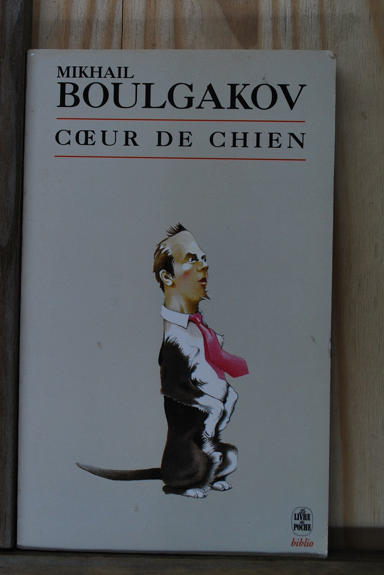 N comme Nausée 9782266094986