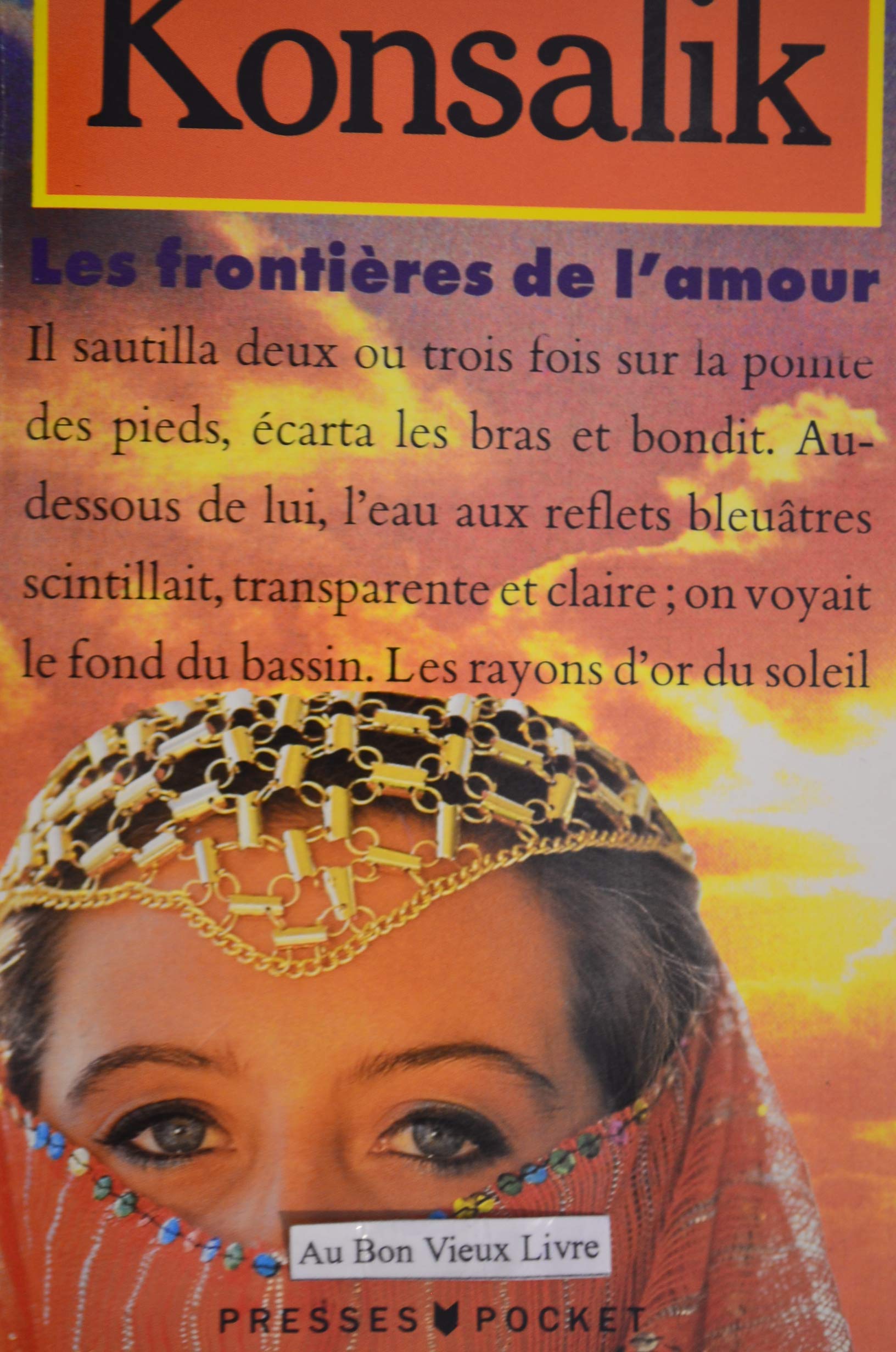 Les frontieres de l'amour 9782266027830