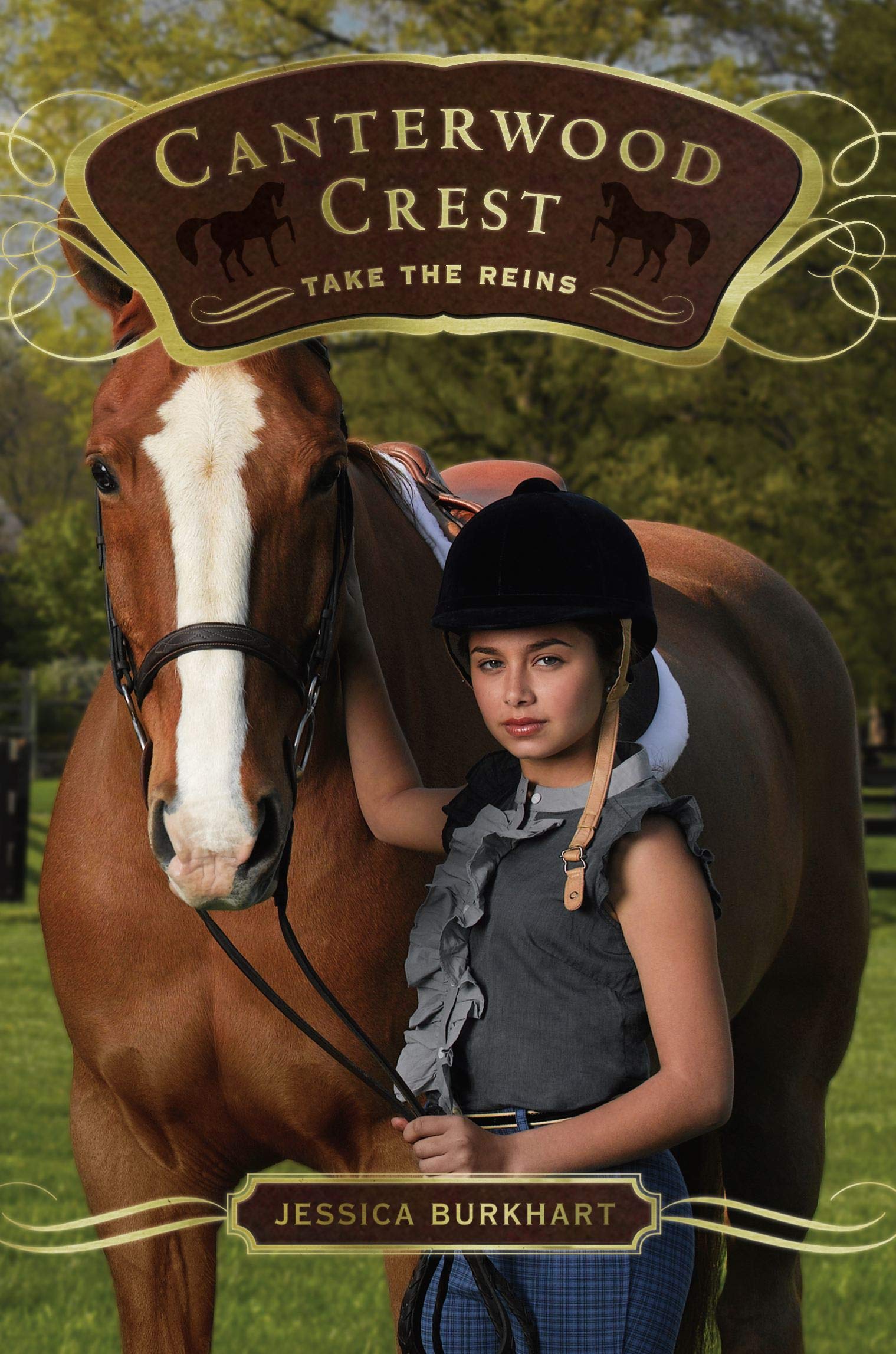Take the Reins 9781416958406