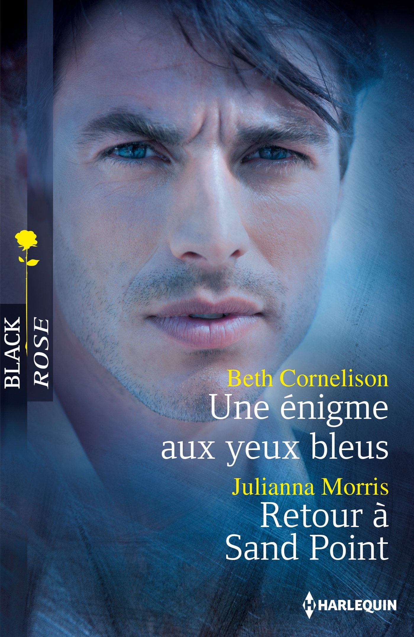 Une énigme aux yeux bleus ; Retour à Sand Point 9782280307932