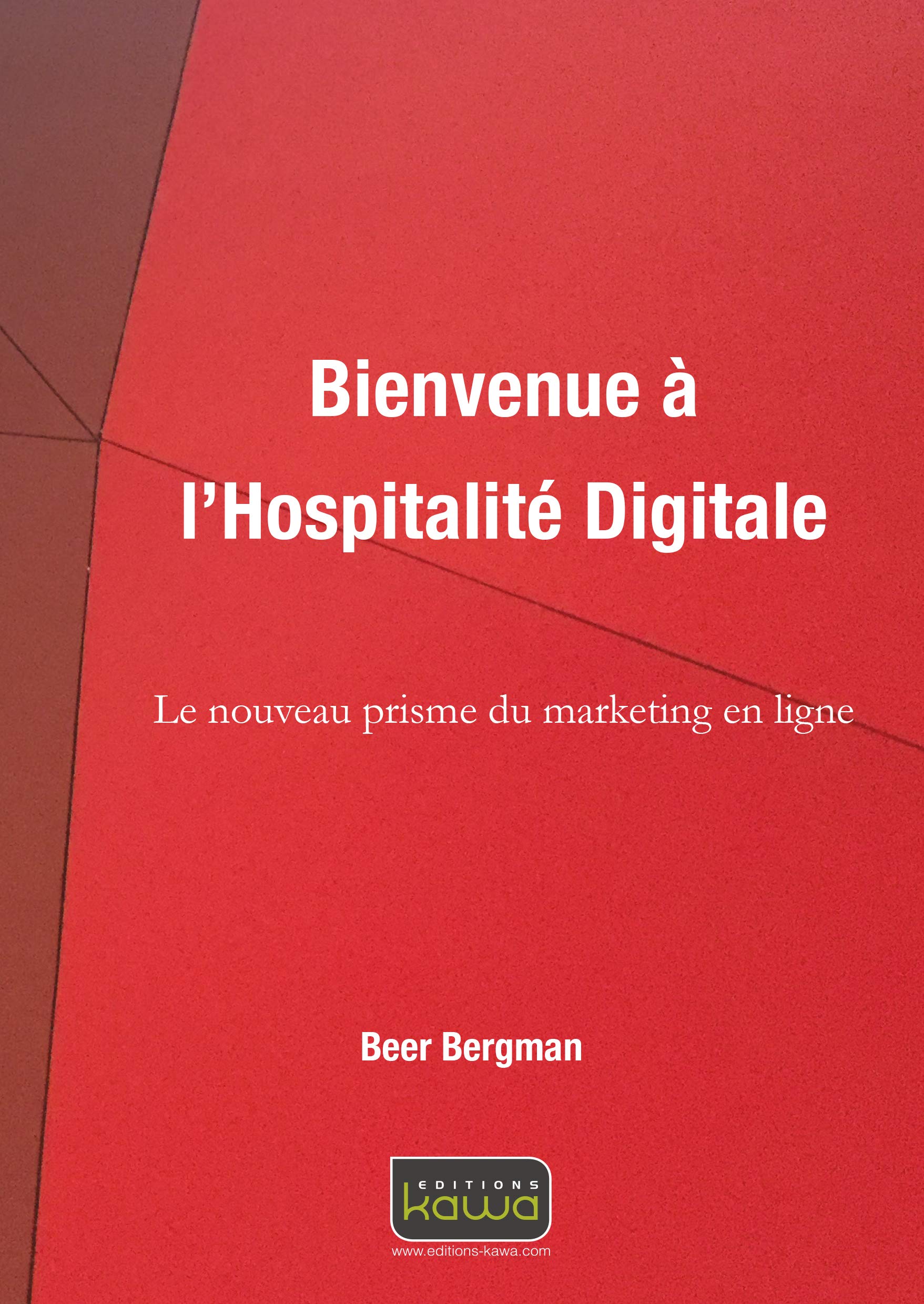 Bienvenue à l'Hospitalité Digitale - Le nouveau prisme du marketing en ligne 9782367781815