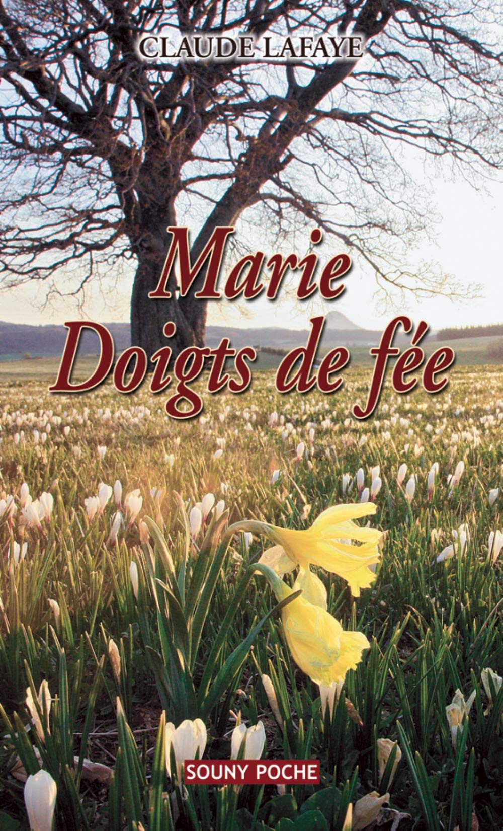 Marie Doigt de fée 9782848863139