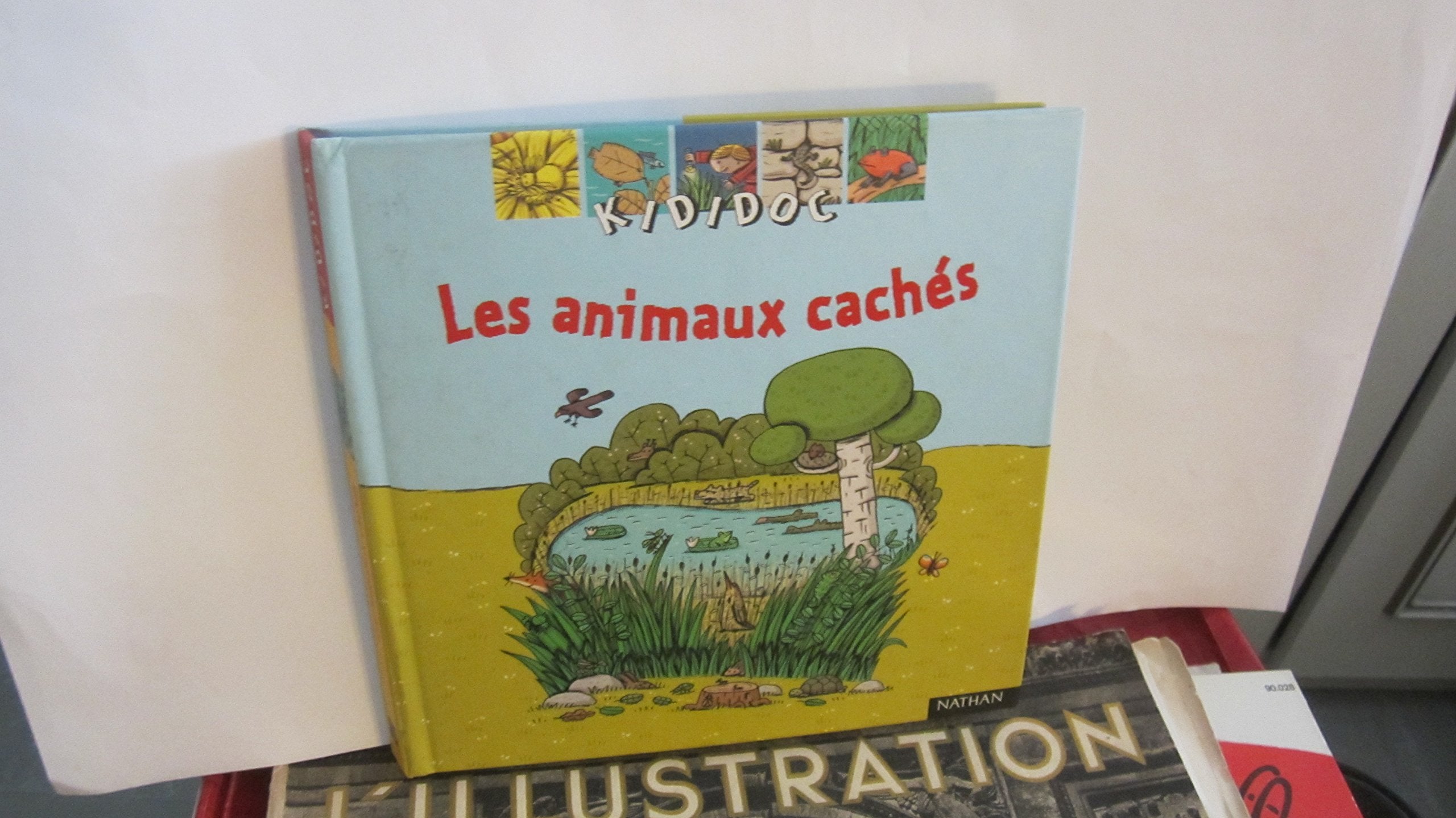 Les animaux cachés 9782092503348