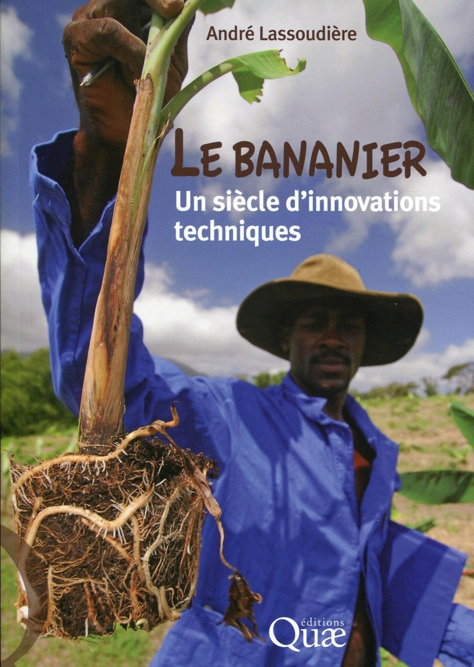 Le bananier : un siècle d'innovations techniques 9782759216901