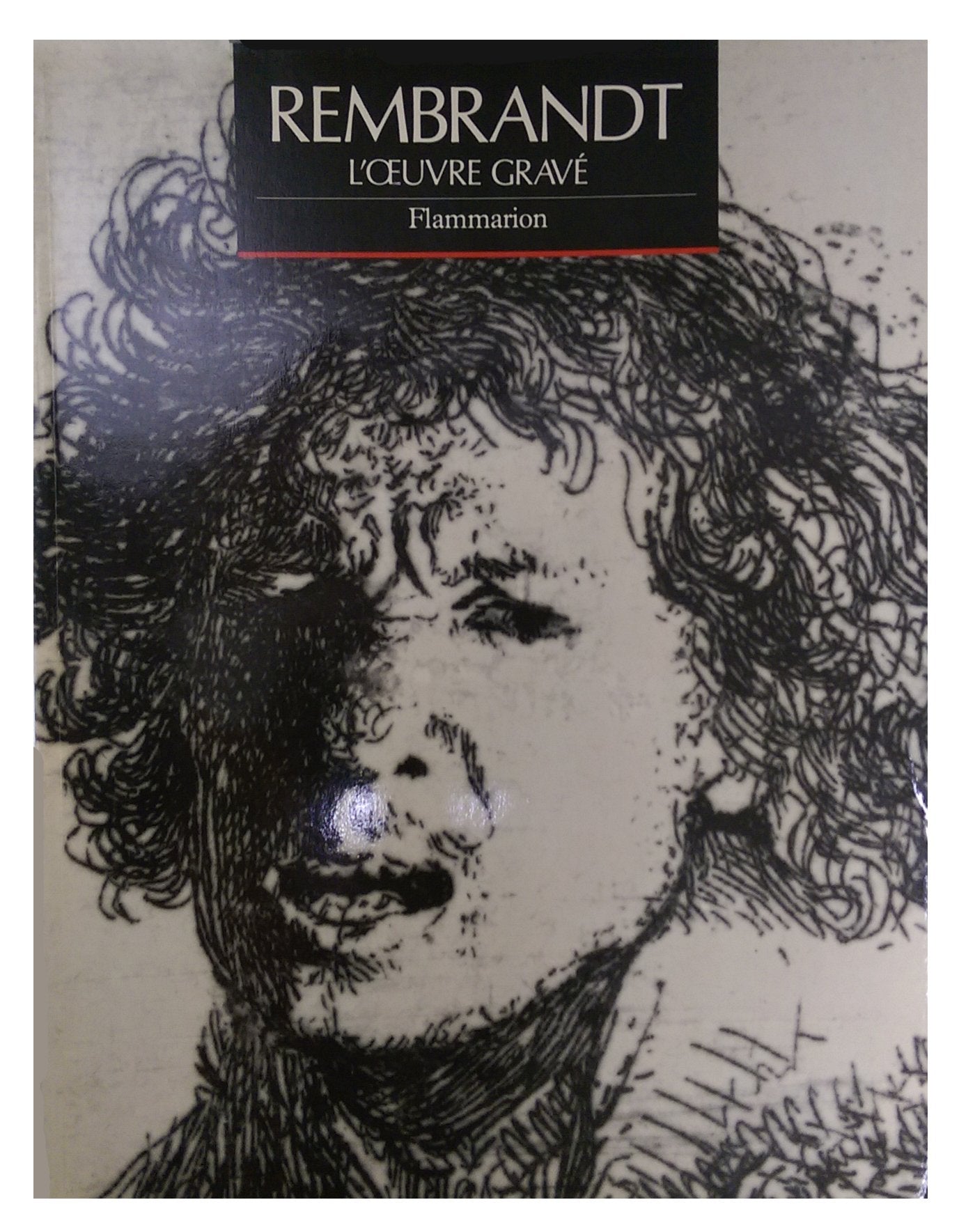 Rembrandt, l'oeuvre grave 9782080129529