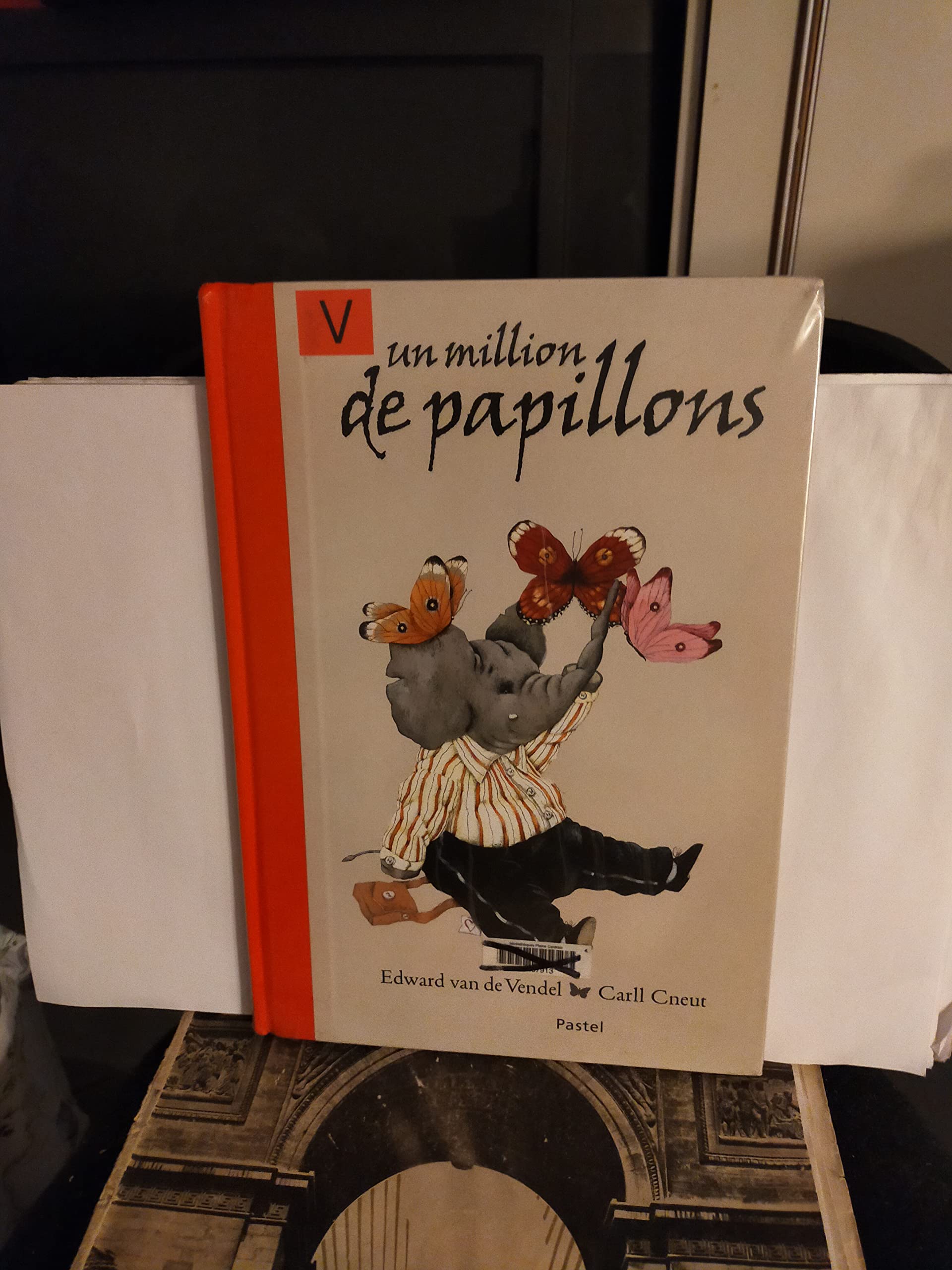 Million de papillons (Un) 9782211087919