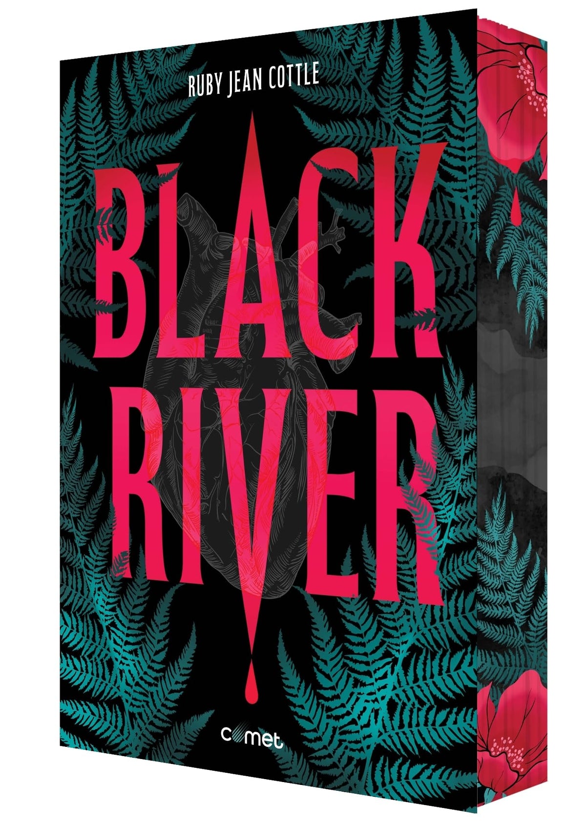 Black river 9782487412392