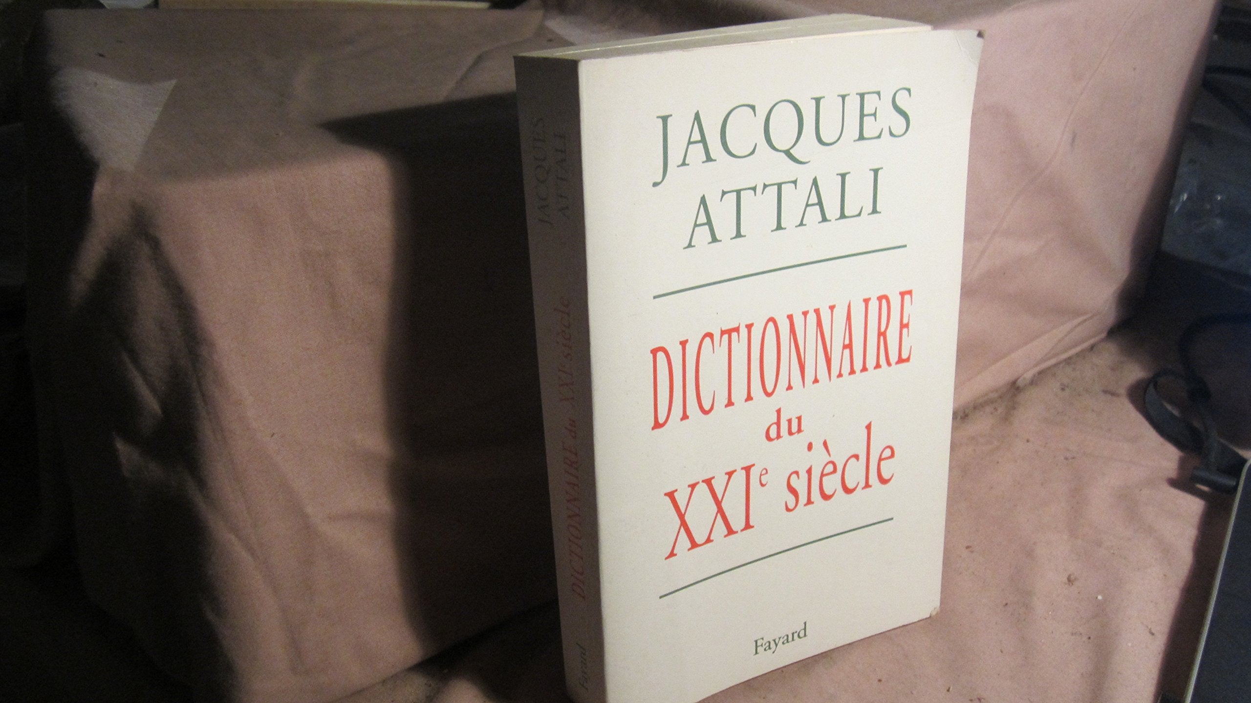 Dictionnaire du XXIème siècle 9782702819593
