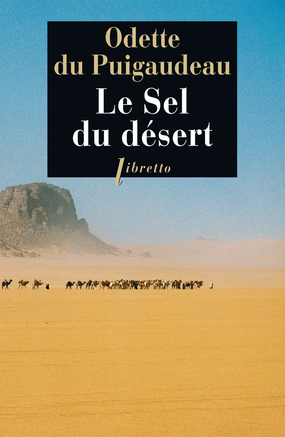 Le sel du désert 9782752901309