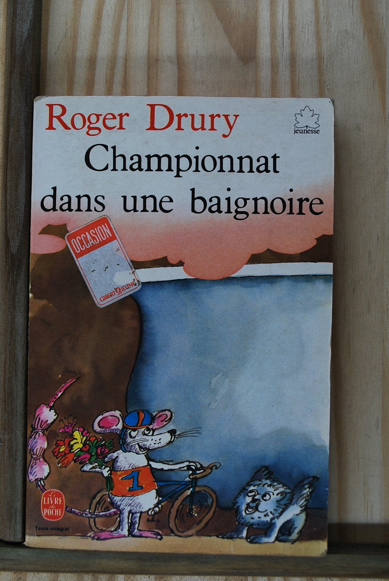 Championnat dans une baignoire 9782253027683