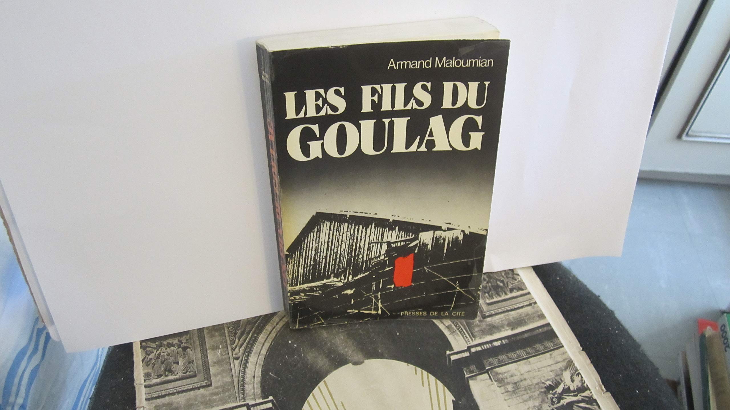 Les fils du goulag 9782724280074