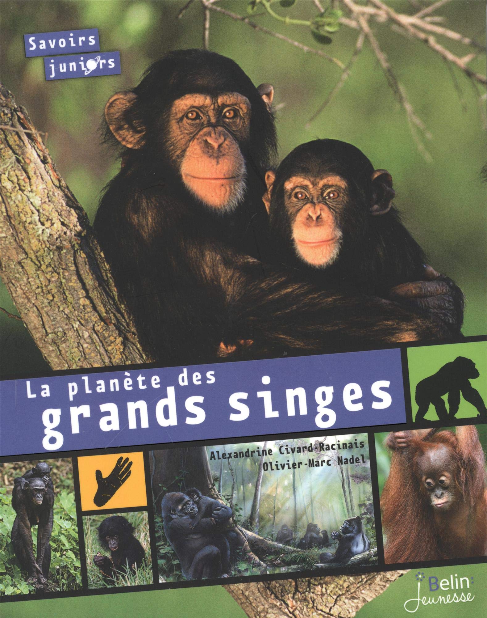 La planète des grands singes 9782701191843