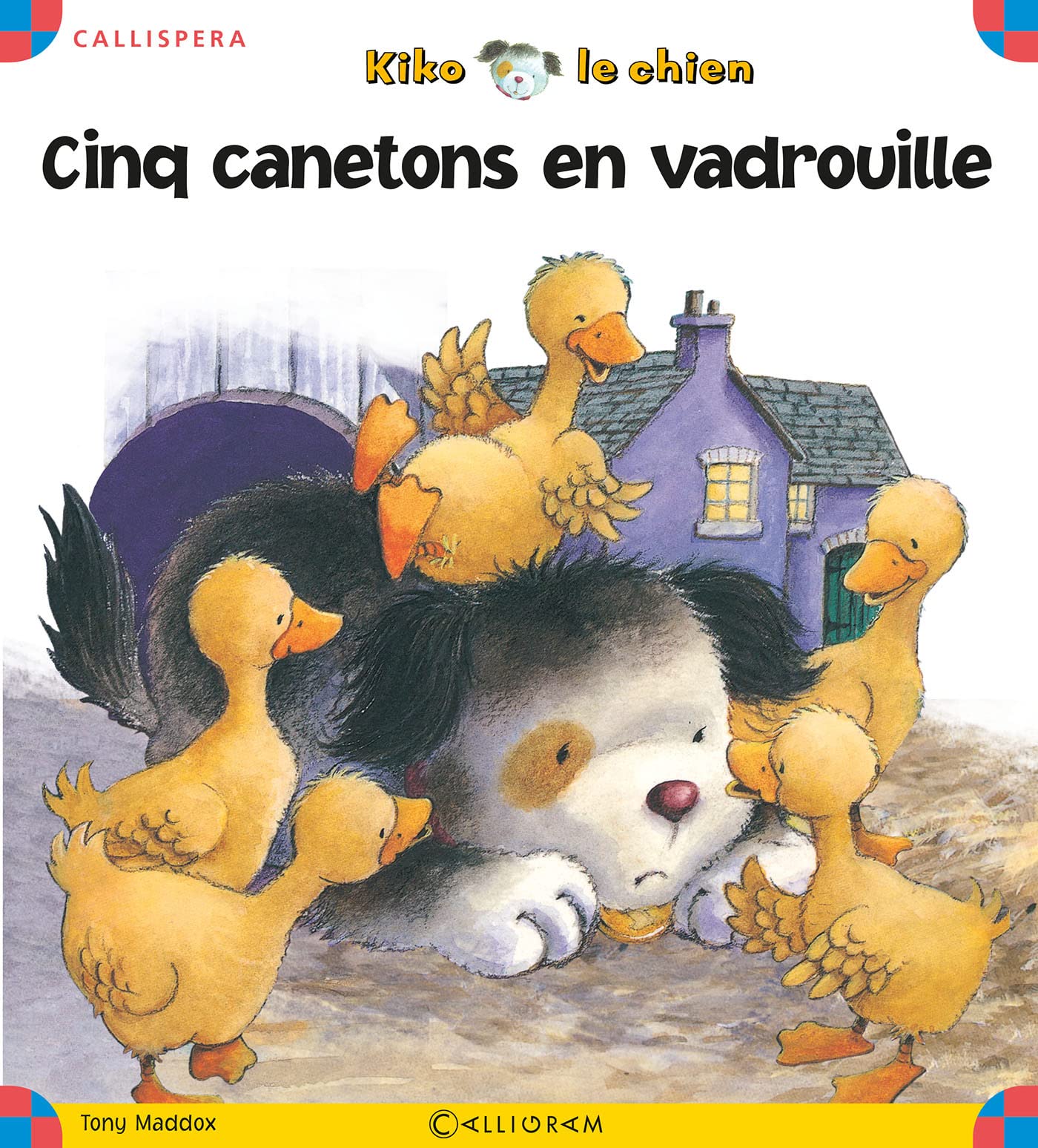 Cinq canetons en vadrouille 9782884803915
