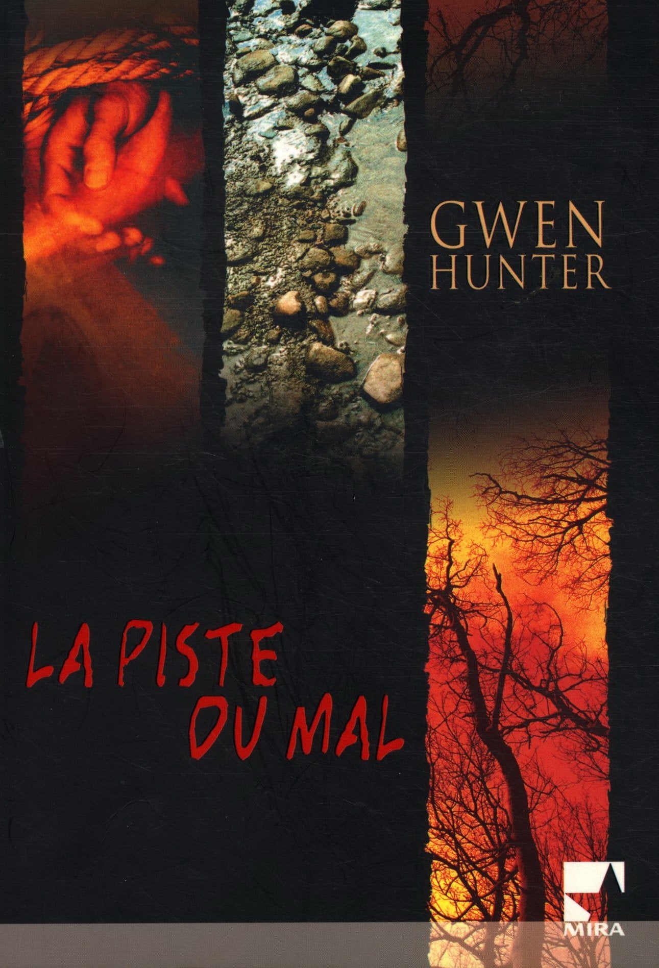 La piste du mal 9782280856058