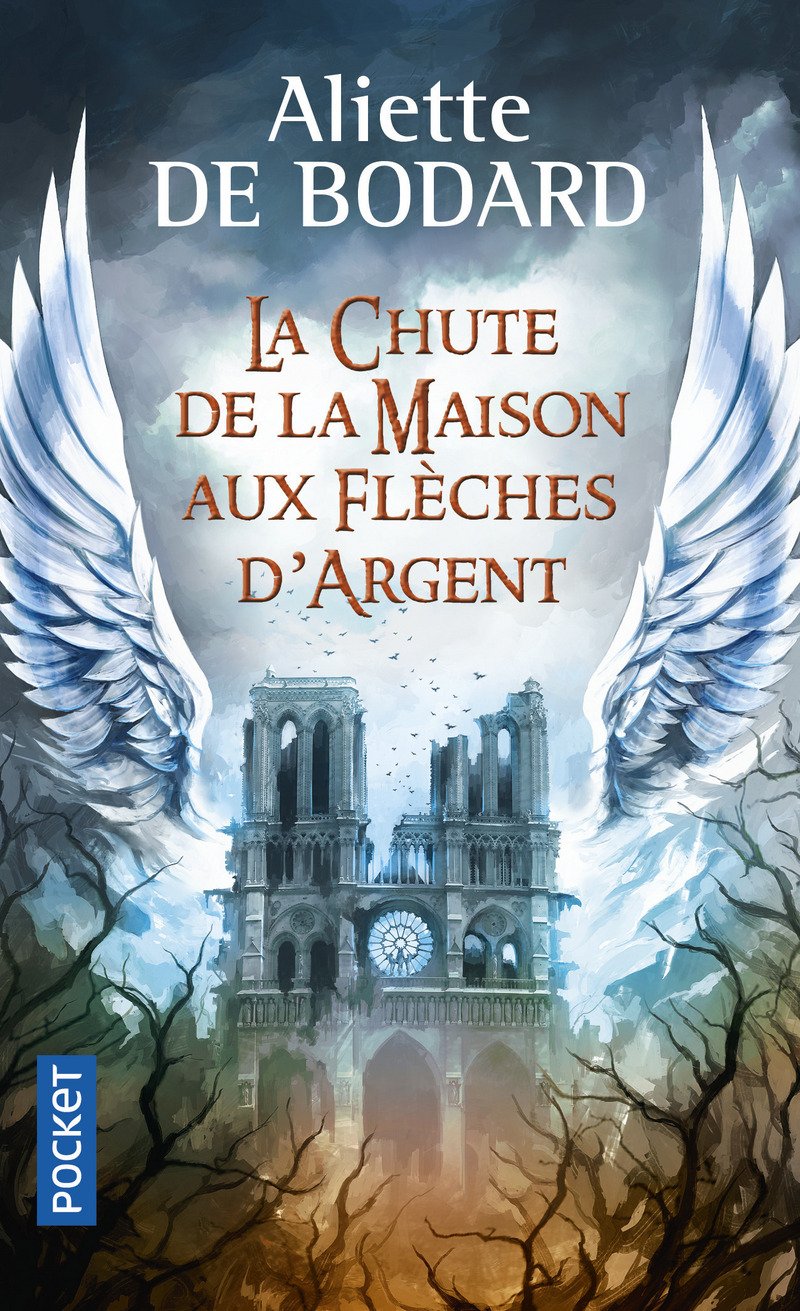 La chute de la Maison aux Flèches d'Argent 9782266283717