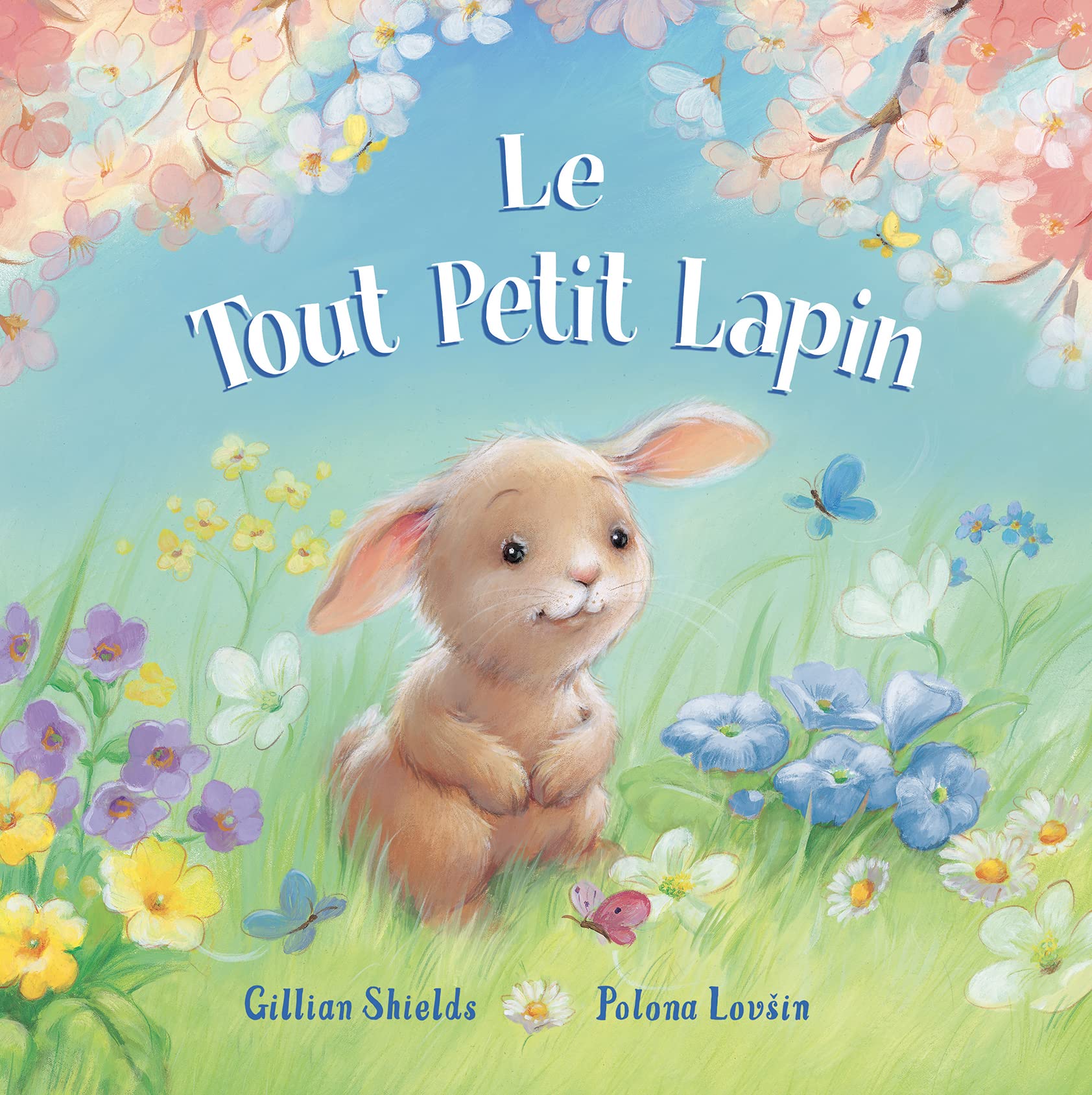 LE TOUT PETIT LAPIN 9782384530236