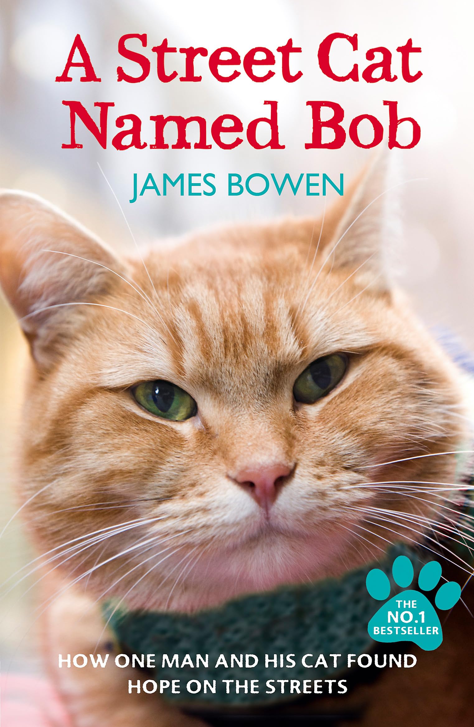 A Street Cat Named Bob: How one man and his cat found hope on the streets 9781444737110