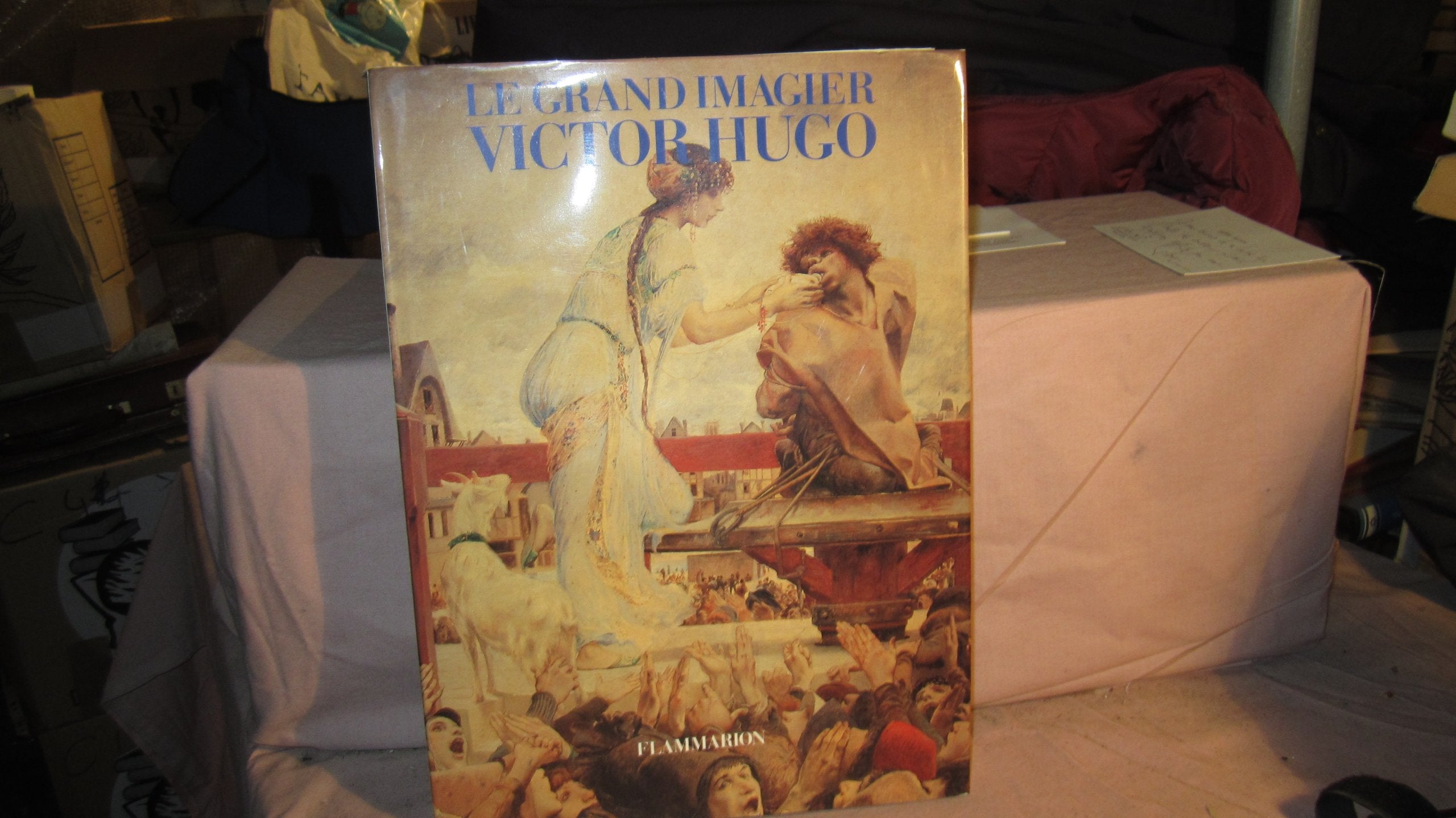 Le grand imagier Victor Hugo 9782080120458